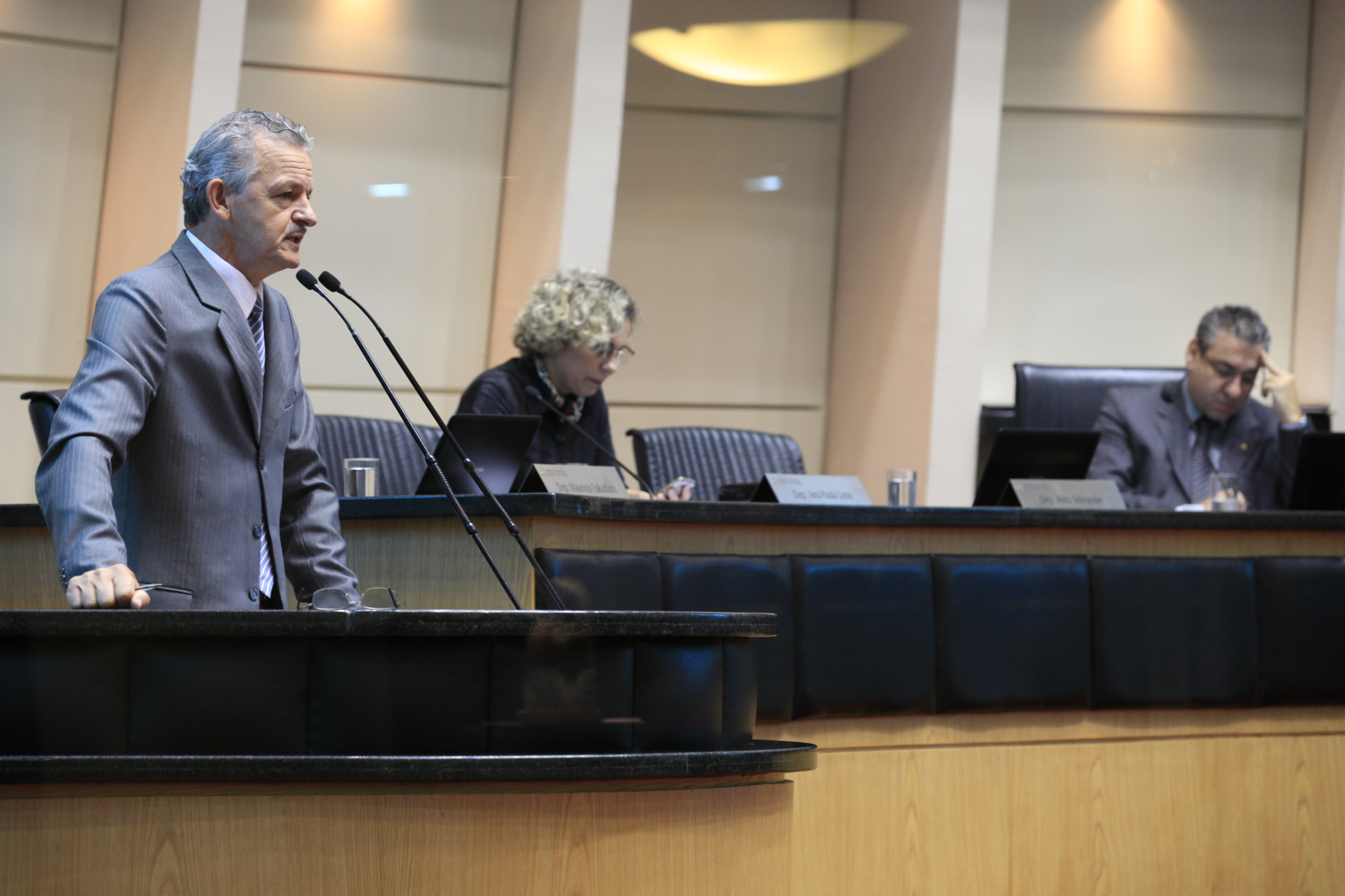 Sessão Ordinária. Foto: Fábio Queiroz / Agência AL