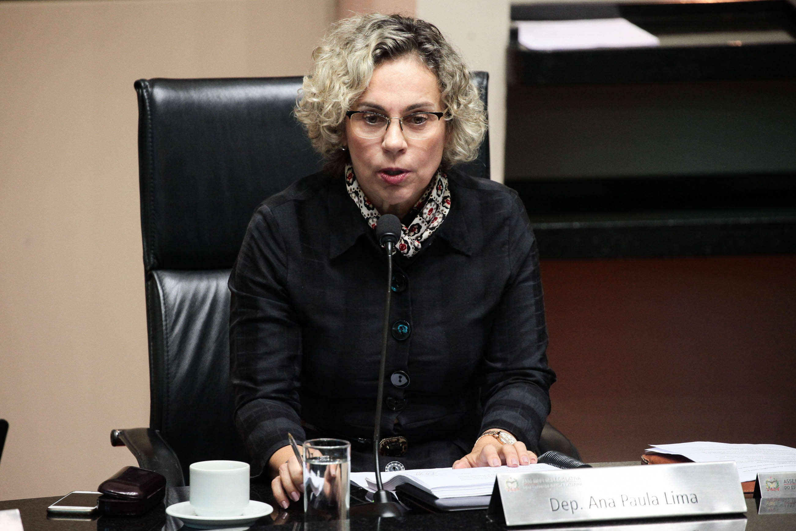 Deputada Ana Paula Lima (PT). Sessão Ordinária. Foto: Vitor Shimomura  / Agência AL