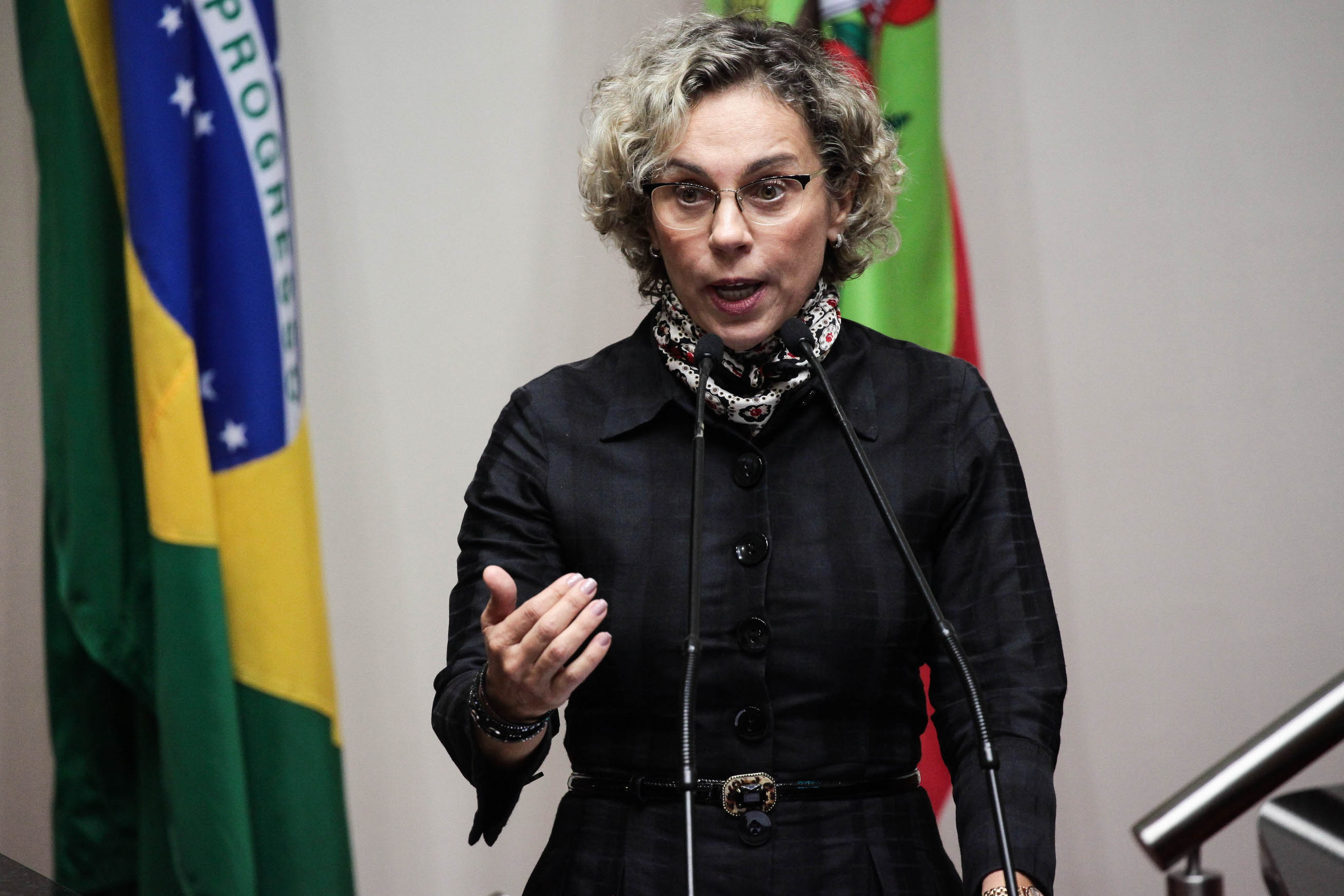 Deputada Ana Paula Lima (PT). Sessão Ordinária. Foto: Vitor Shimomura  / Agência AL