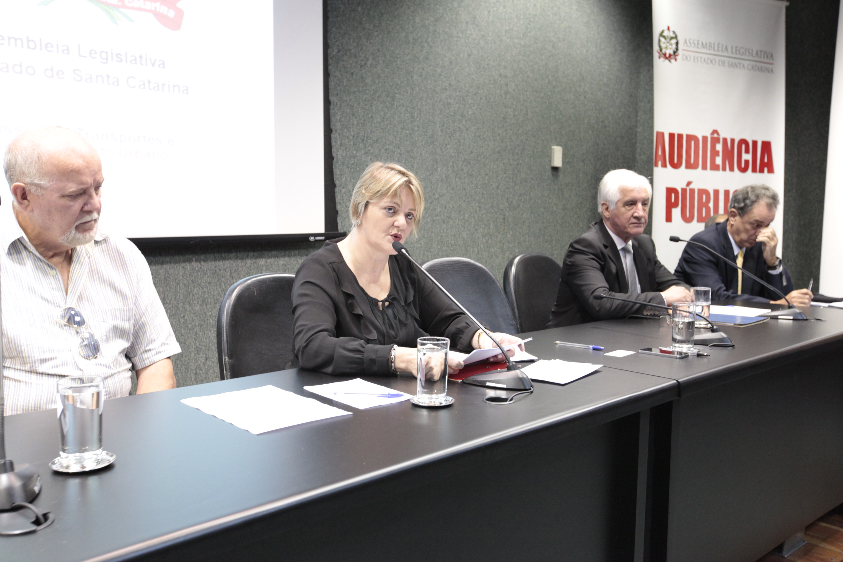 Comissão de Transportes - Audiência pública para tratar da situação do Porto de São Francisco do Sul.