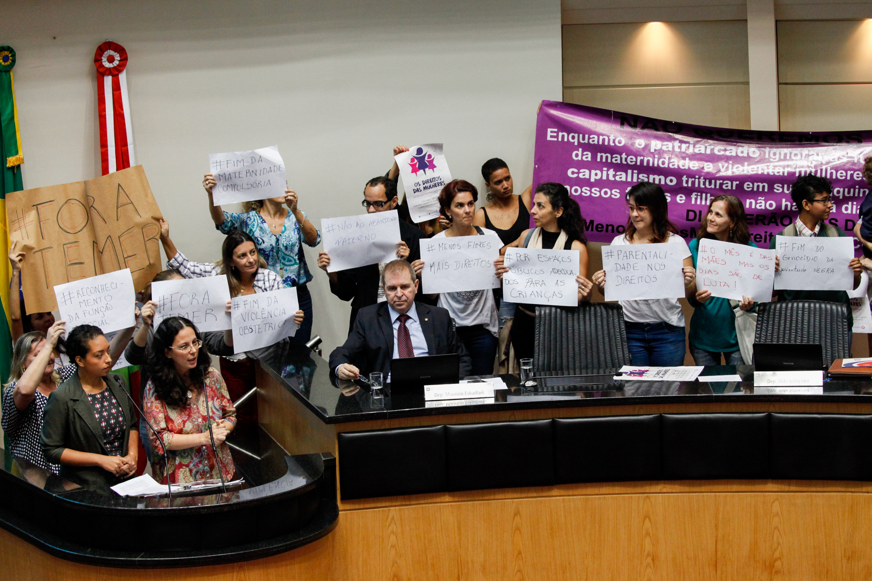 Coletivos de Mulheres Apresentam Manifesto (Mãenifesto) no Plenário da Alesc. Foto: Vitor Shimomura / Agência AL