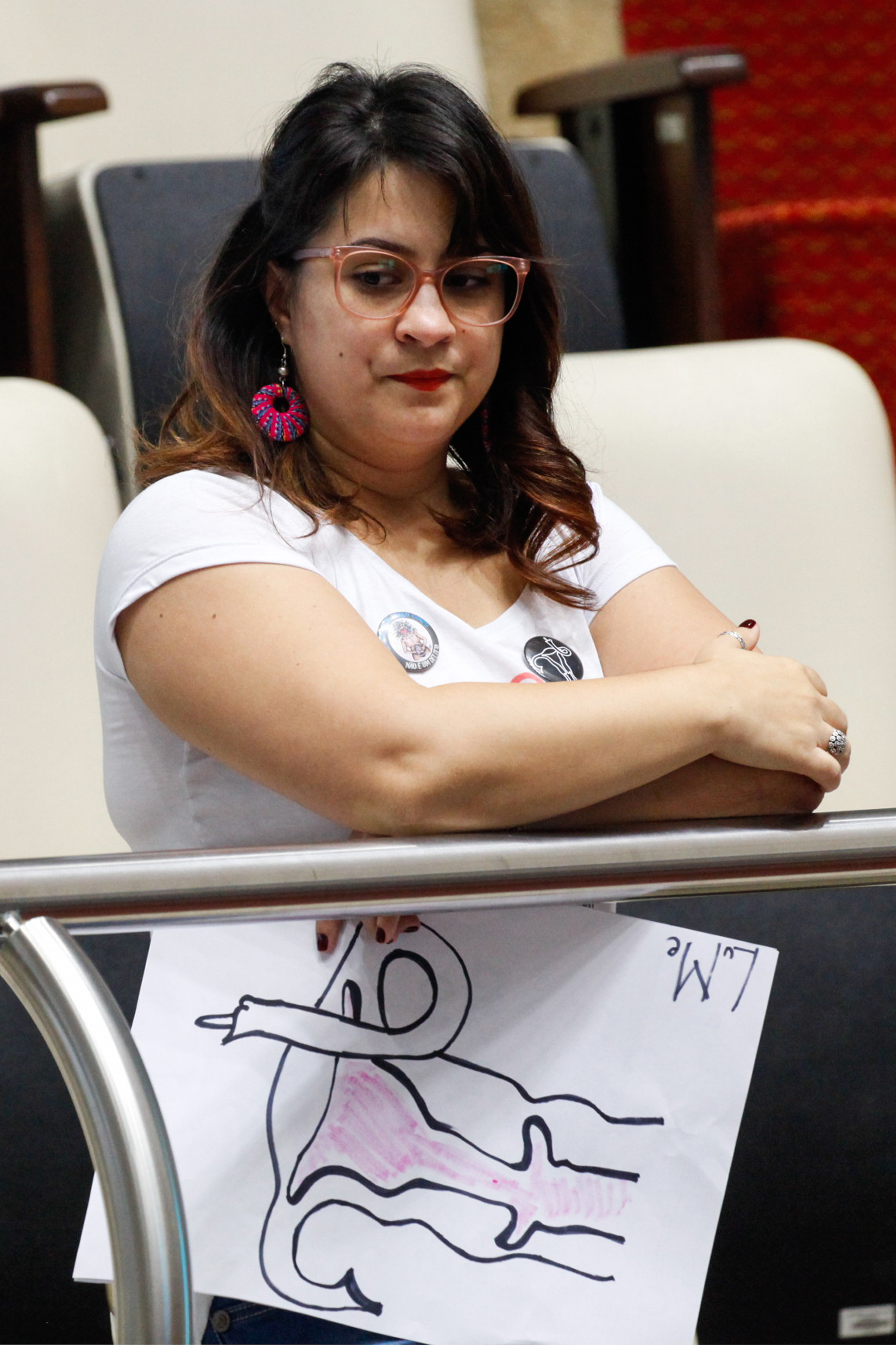 Coletivos de Mulheres Apresentam Manifesto (Mãenifesto) no Plenário da Alesc. Foto: Vitor Shimomura / Agência AL