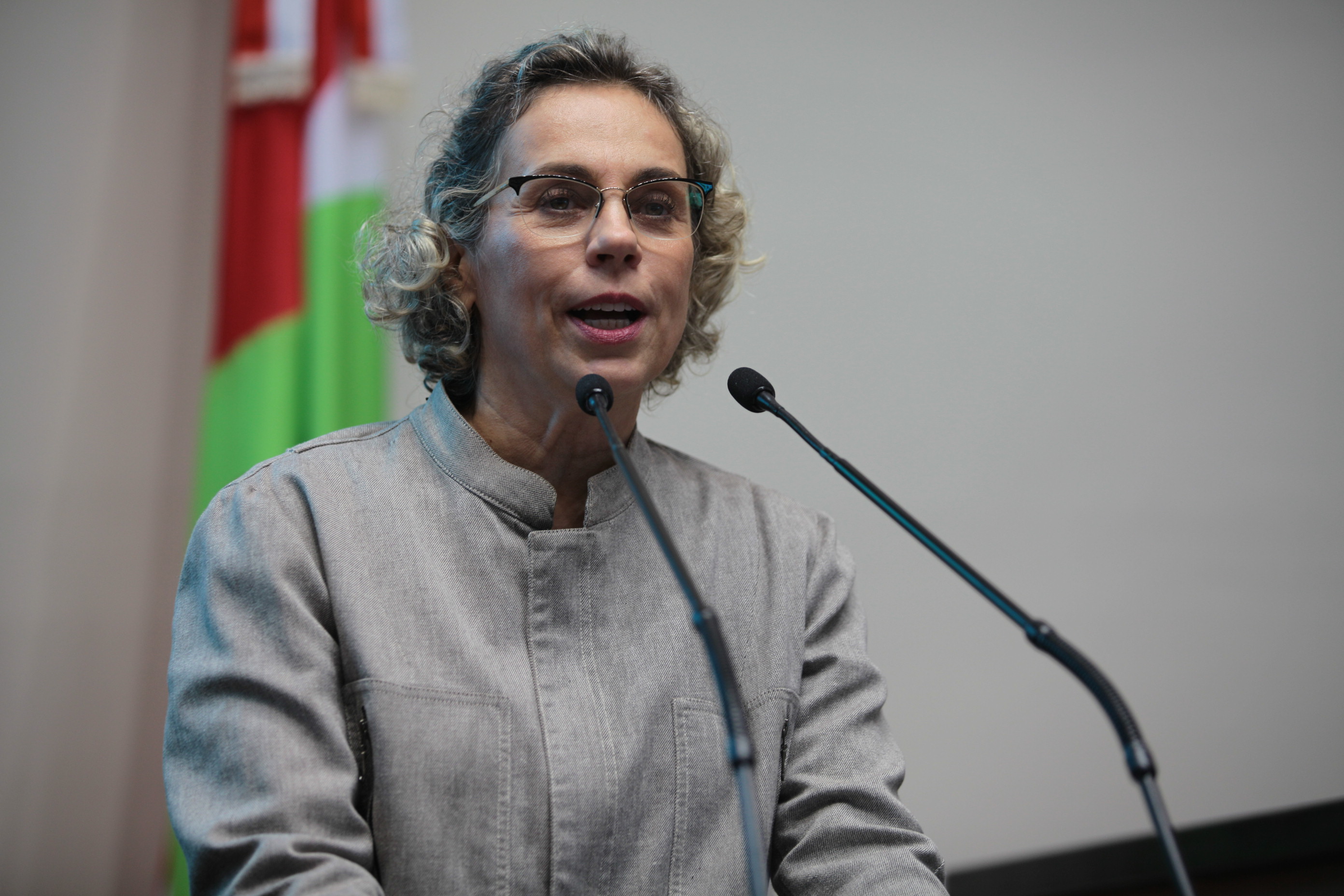 Deputada Ana Paula Lima (PT). Sessão Ordinária.