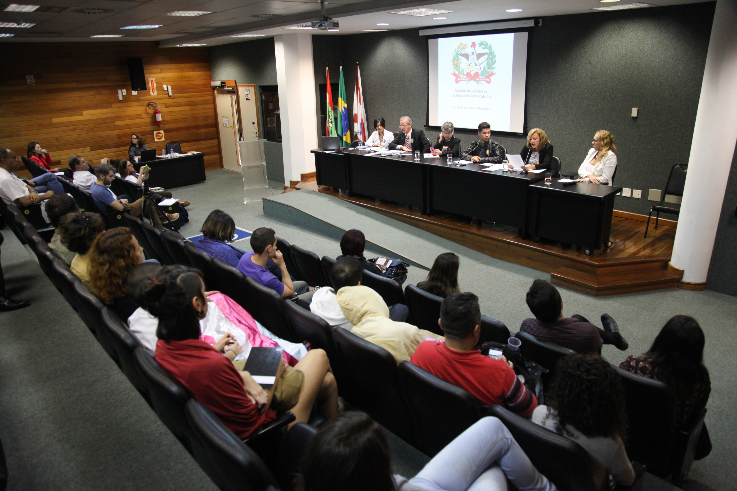 Comissão dos Direitos Humanos Promove Audiência Pública Sobre Dia Internacional Contra LGBTfobia
