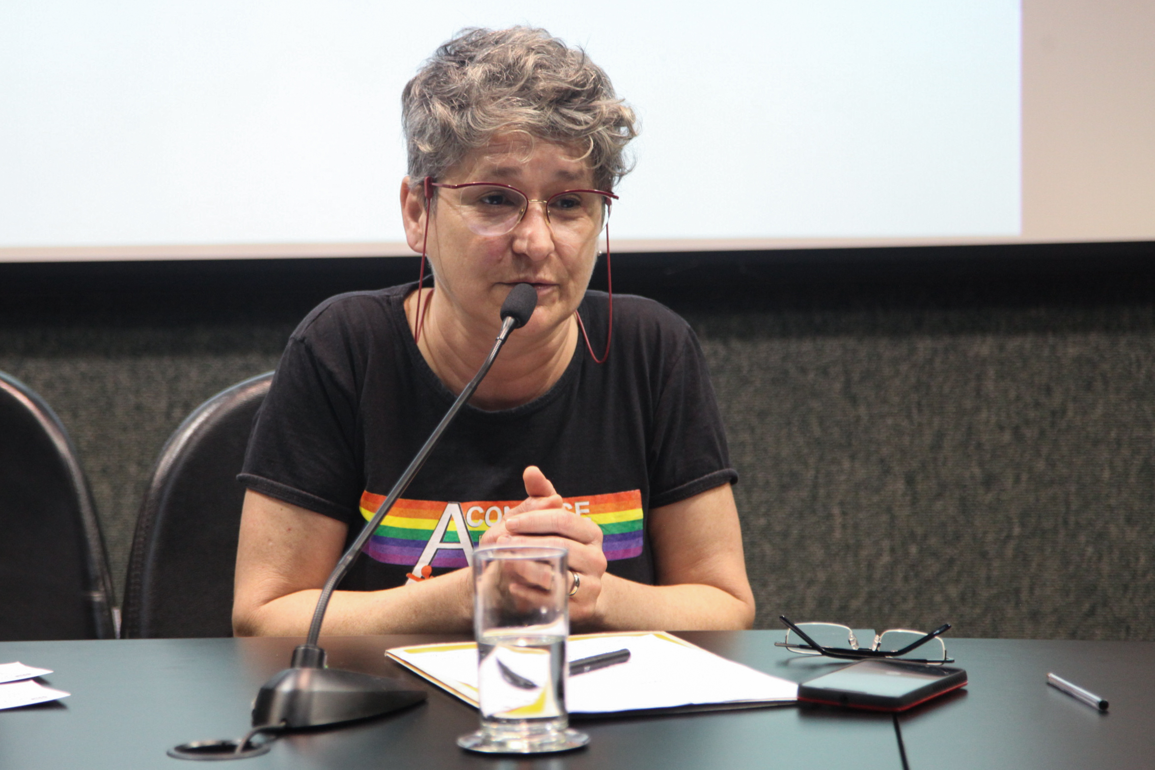 Comissão dos Direitos Humanos Promove Audiência Pública Sobre Dia Internacional Contra LGBTfobia