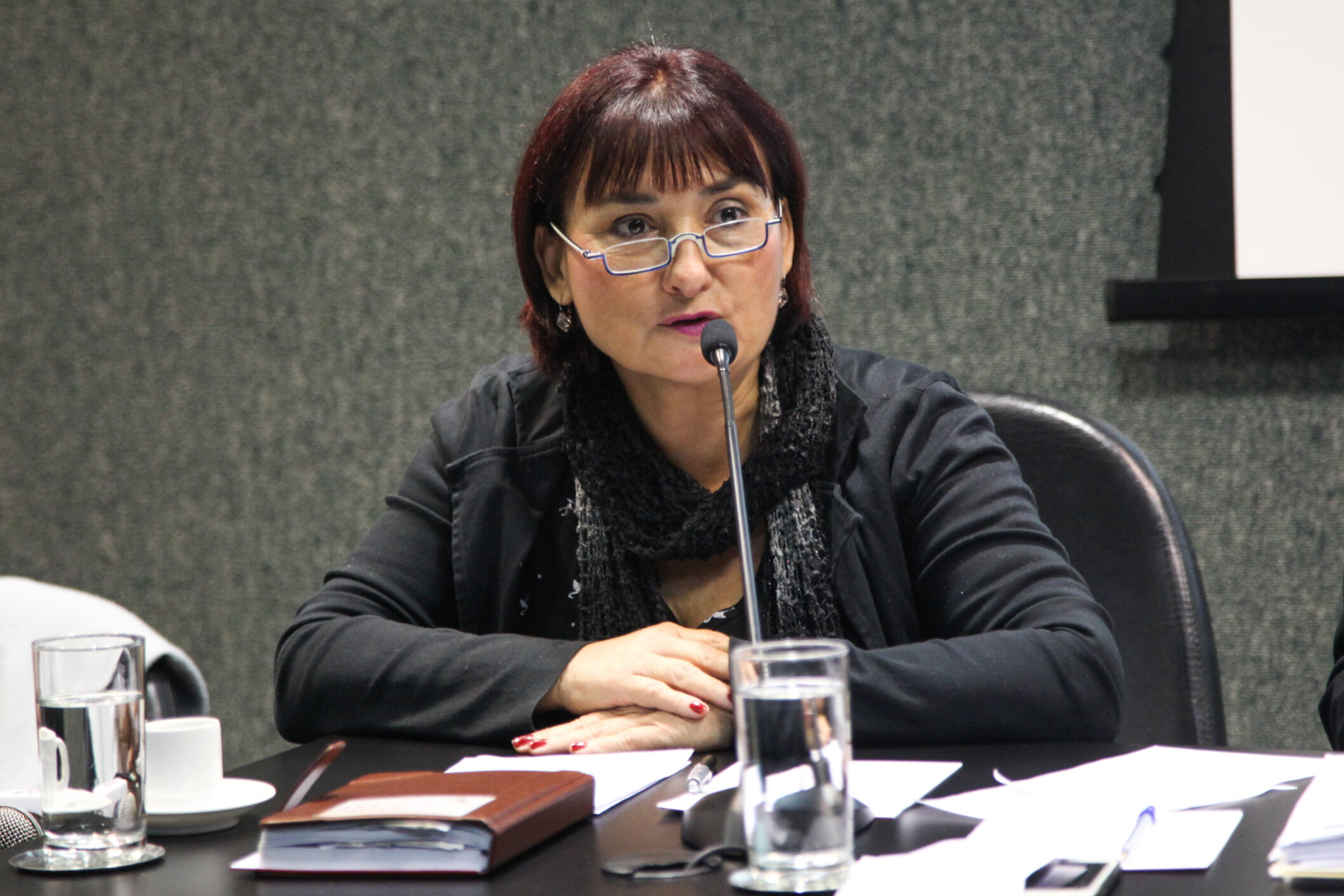 Jaira Rodrigues, presidente do Conselho Regional de Psicologia (CRP)