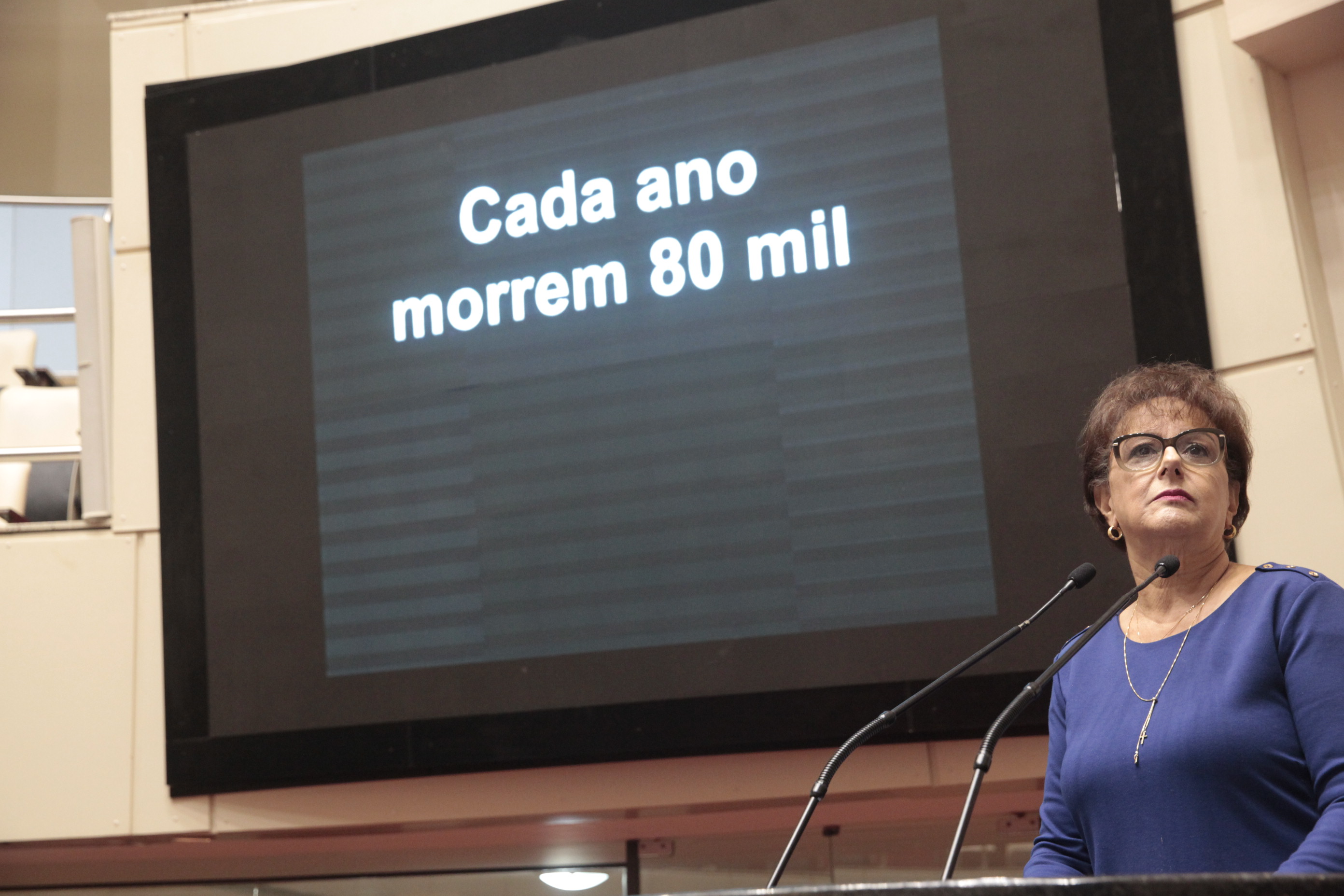 Deputada Dirce Heiderscheidt (PMDB)