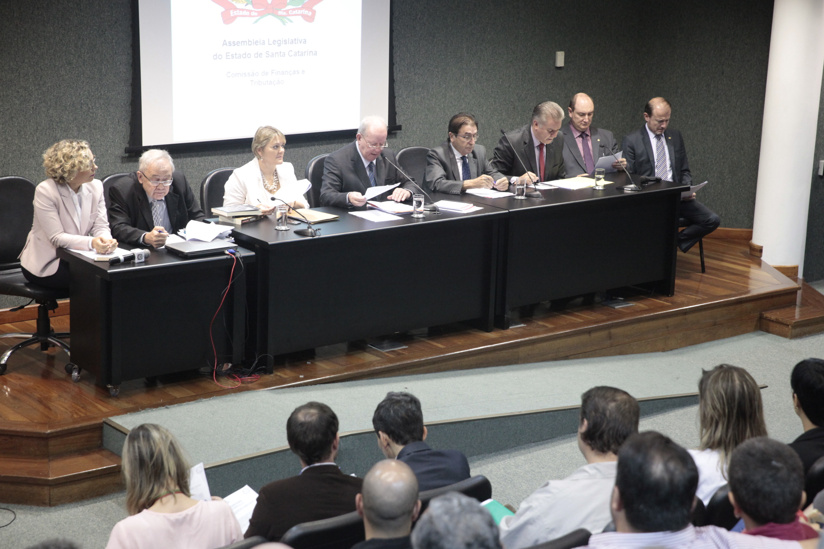 Comissão de Finanças promove Audiência Pública para tratar da medida provisória 210/2017.