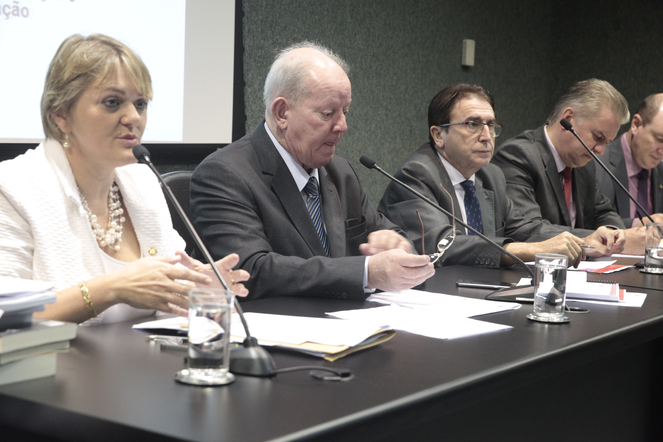 Comissão de Finanças promove Audiência Pública para tratar da medida provisória 210/2017.