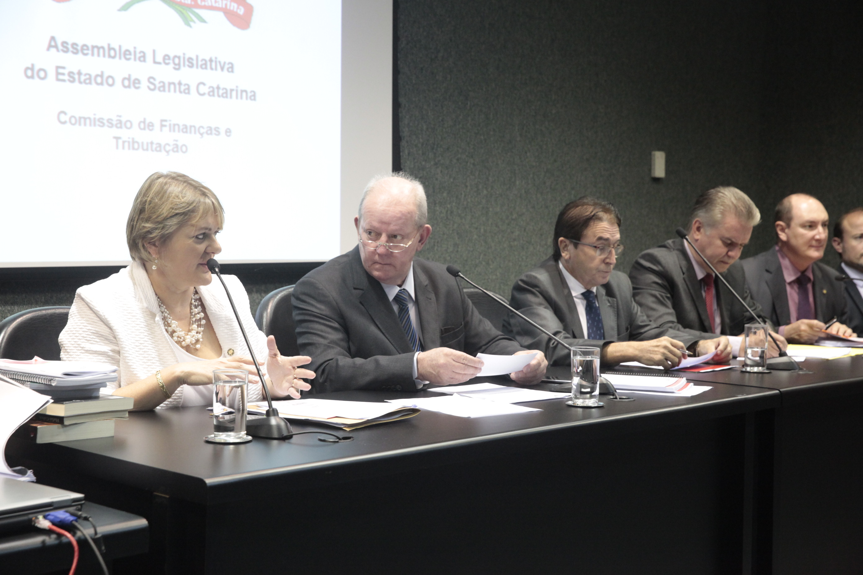 Comissão de Finanças promove Audiência Pública para tratar da medida provisória 210/2017.