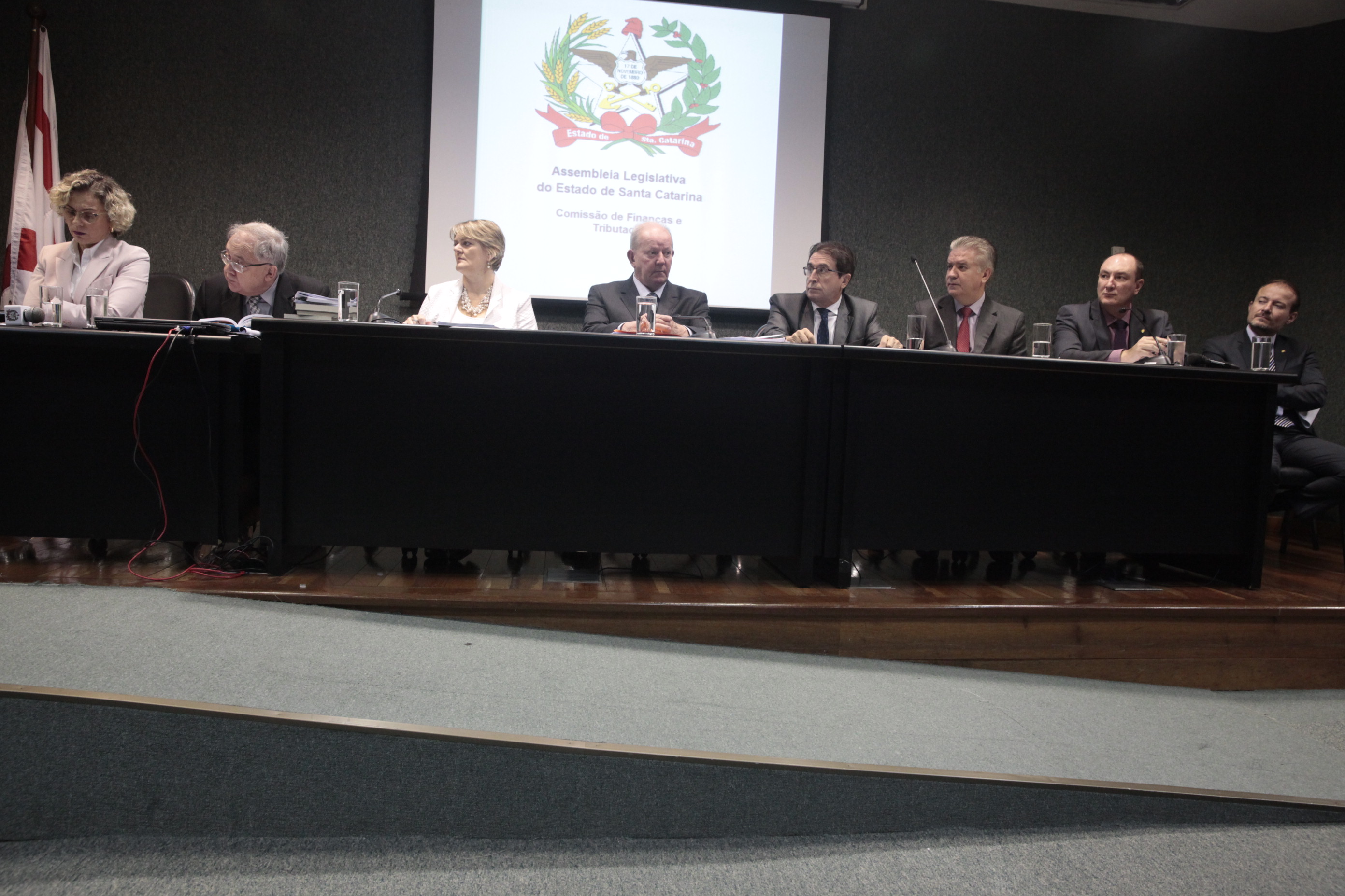 Comissão de Finanças promove Audiência Pública para tratar da medida provisória 210/2017.