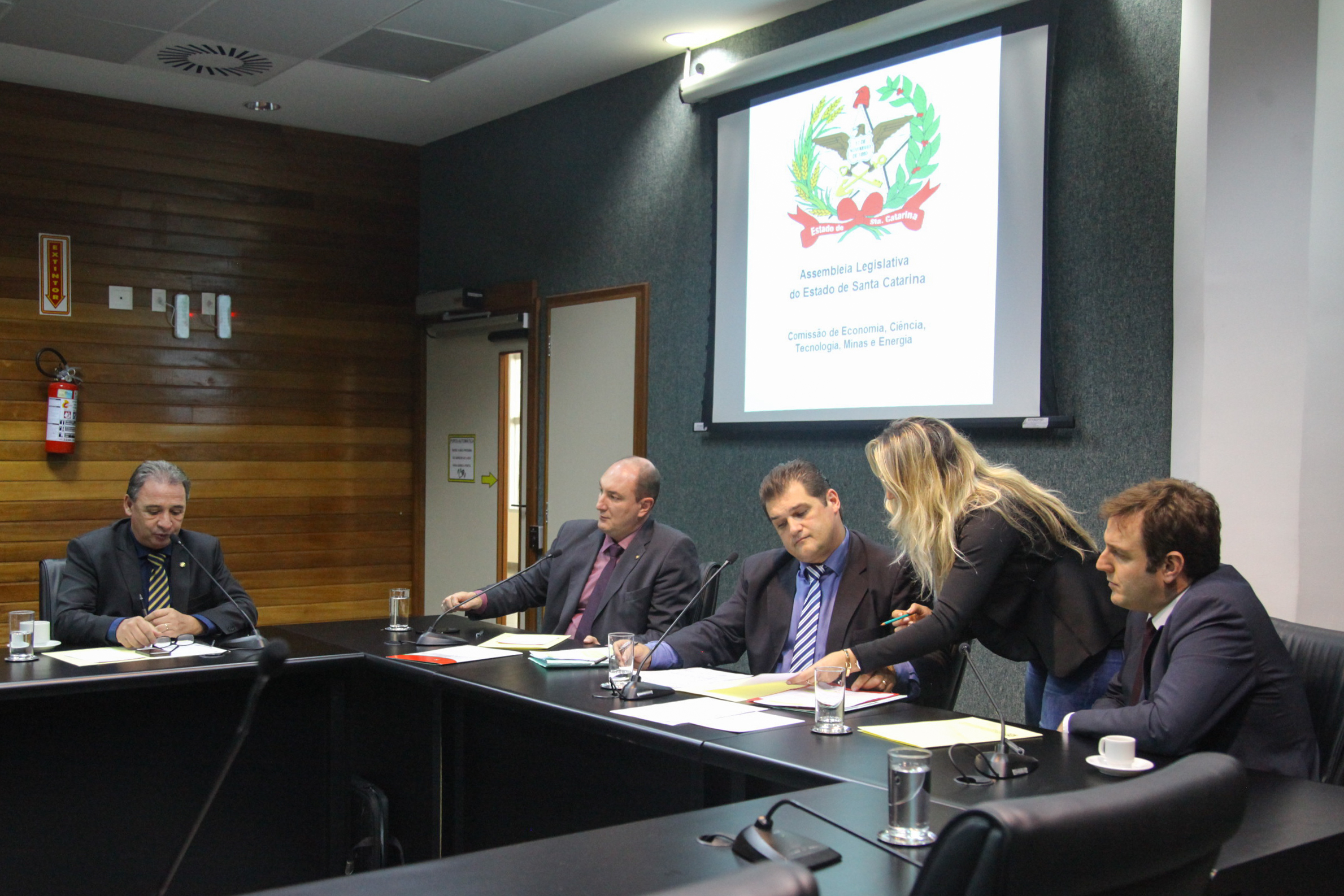 Reunião da Comissão de Economia, Tecnologia, Minas e Energia.