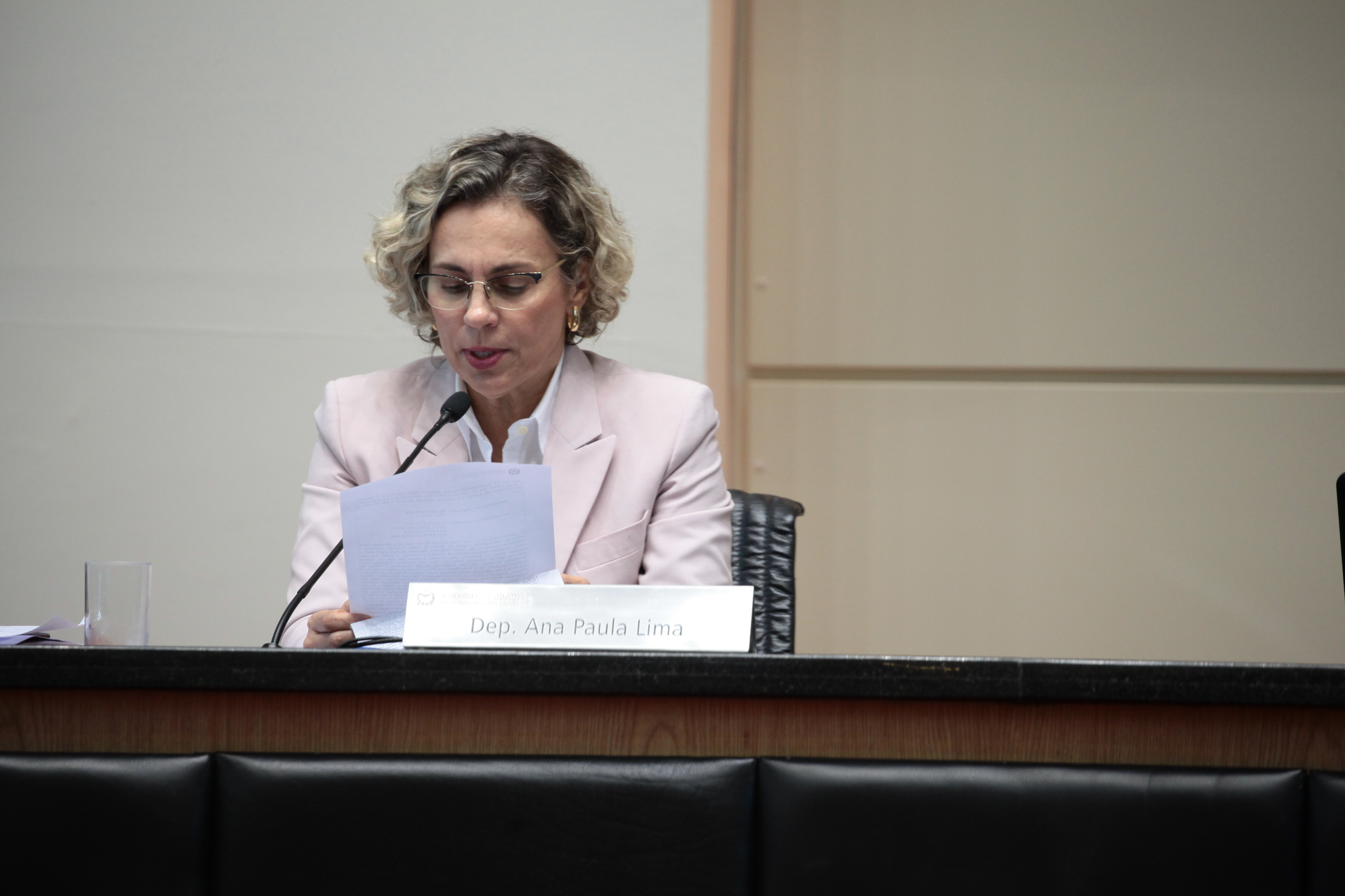 Deputada Ana Paula Lima (PT). Sessão Ordinária.