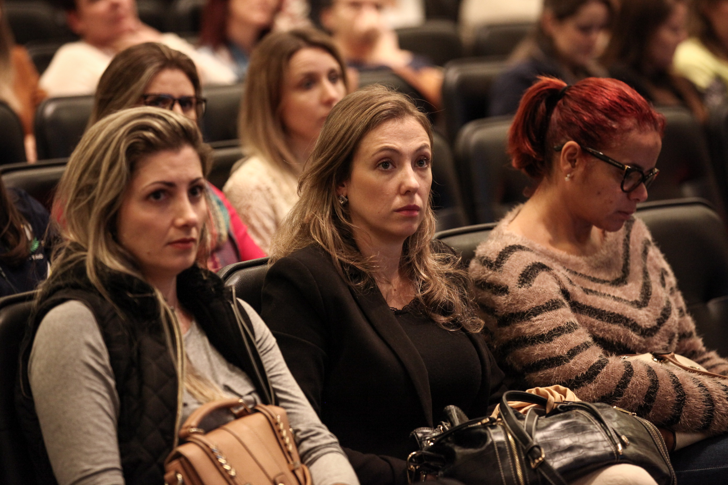 IV Seminário de Saúde e Prevenção das Deficiências das APAEs de Santa Catarina.