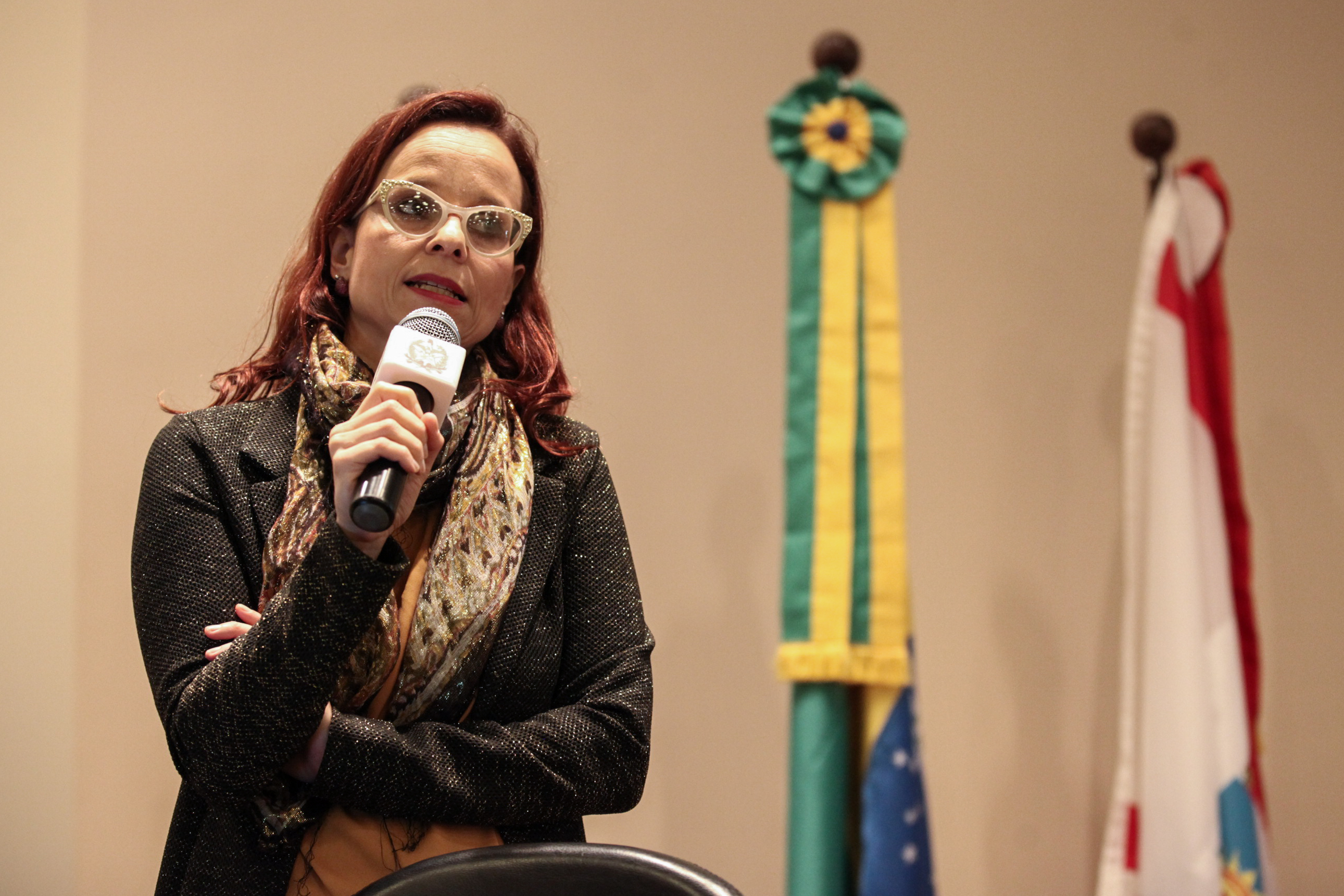 Médica geneticista Louise Lapagesse de Camargo Pinto. IV Seminário de Saúde e Prevenção das Deficiências das APAEs de Santa Catarina.