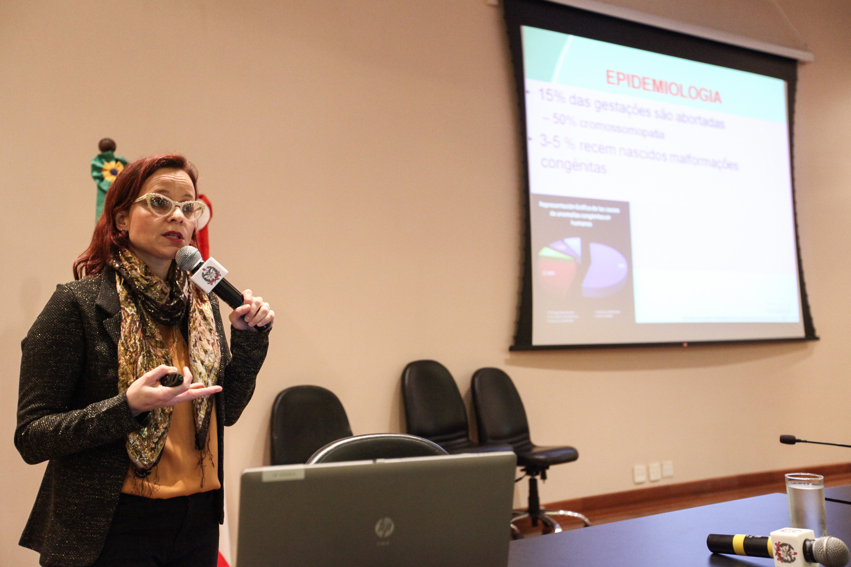 Médica geneticista Louise Lapagesse de Camargo Pinto . IV Seminário de Saúde e Prevenção das Deficiências das APAEs de Santa Catarina.