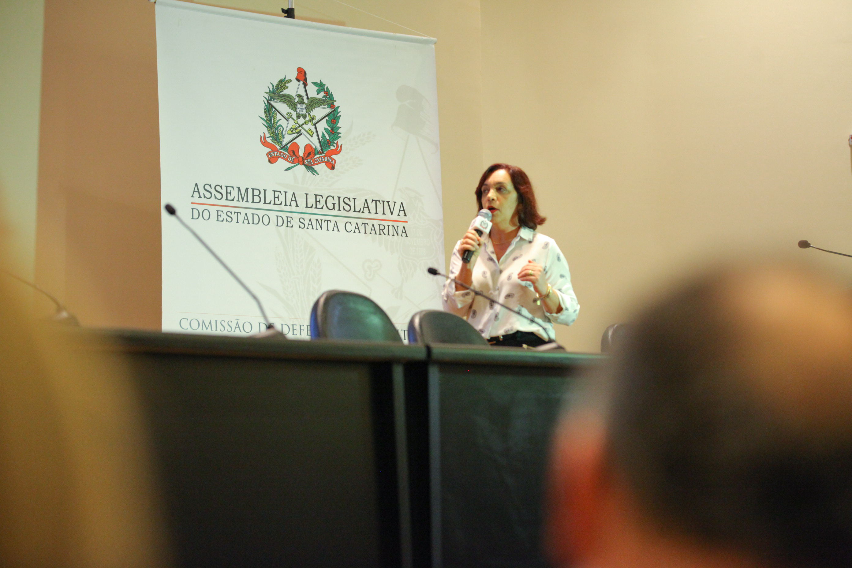 IV Seminário de Saúde e Prevenção das Deficiências das APAEs de Santa Catarina