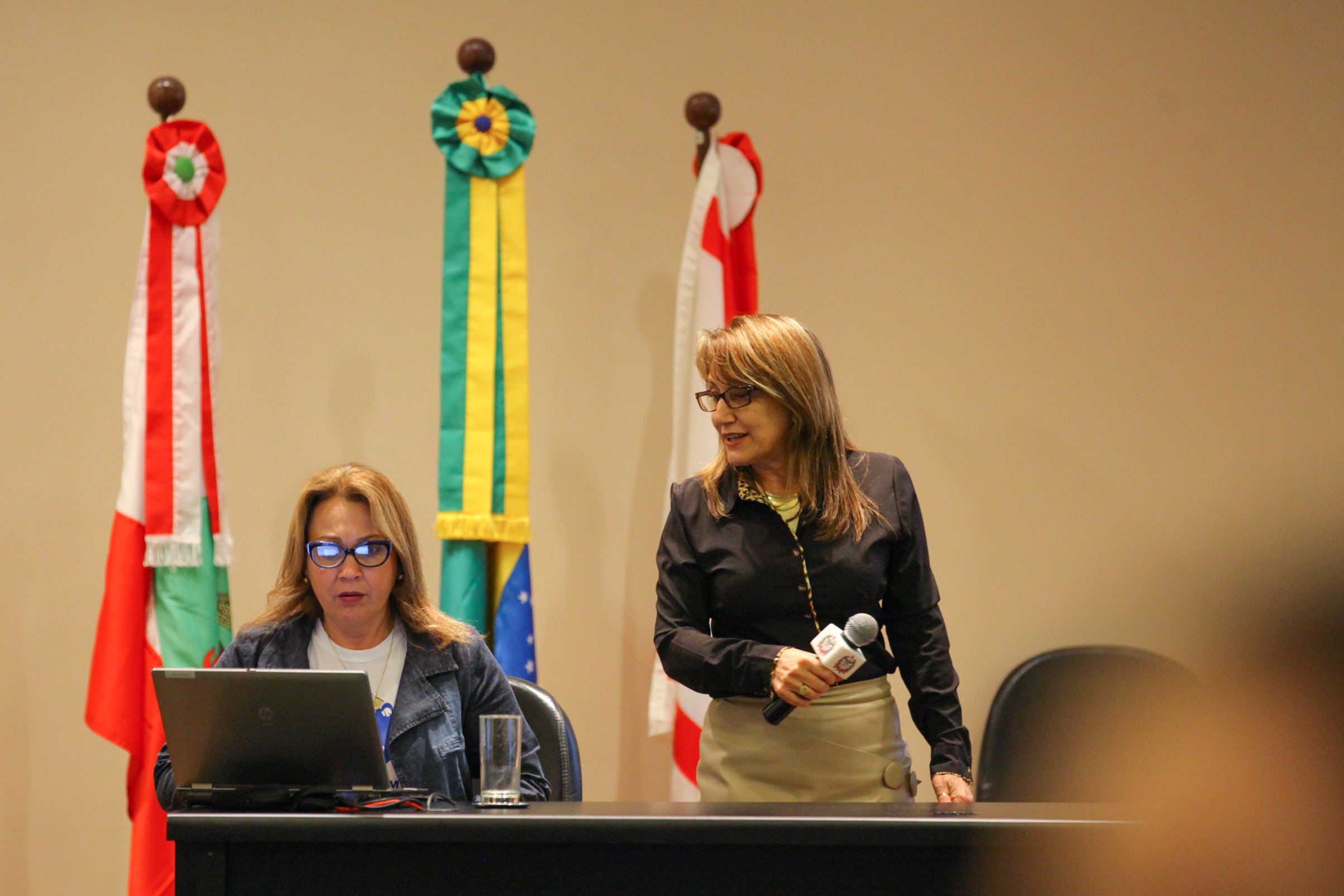 IV Seminário de Saúde e Prevenção das Deficiências das APAEs de Santa Catarina