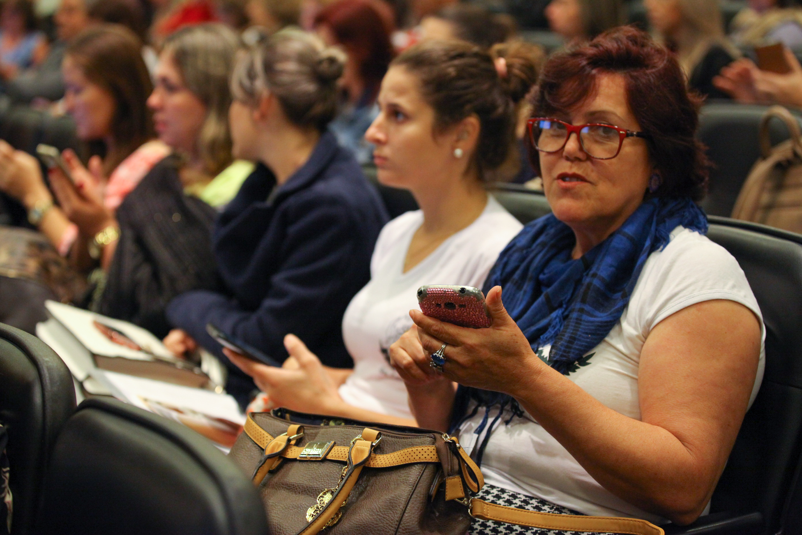 IV Seminário de Saúde e Prevenção das Deficiências das APAEs de Santa Catarina