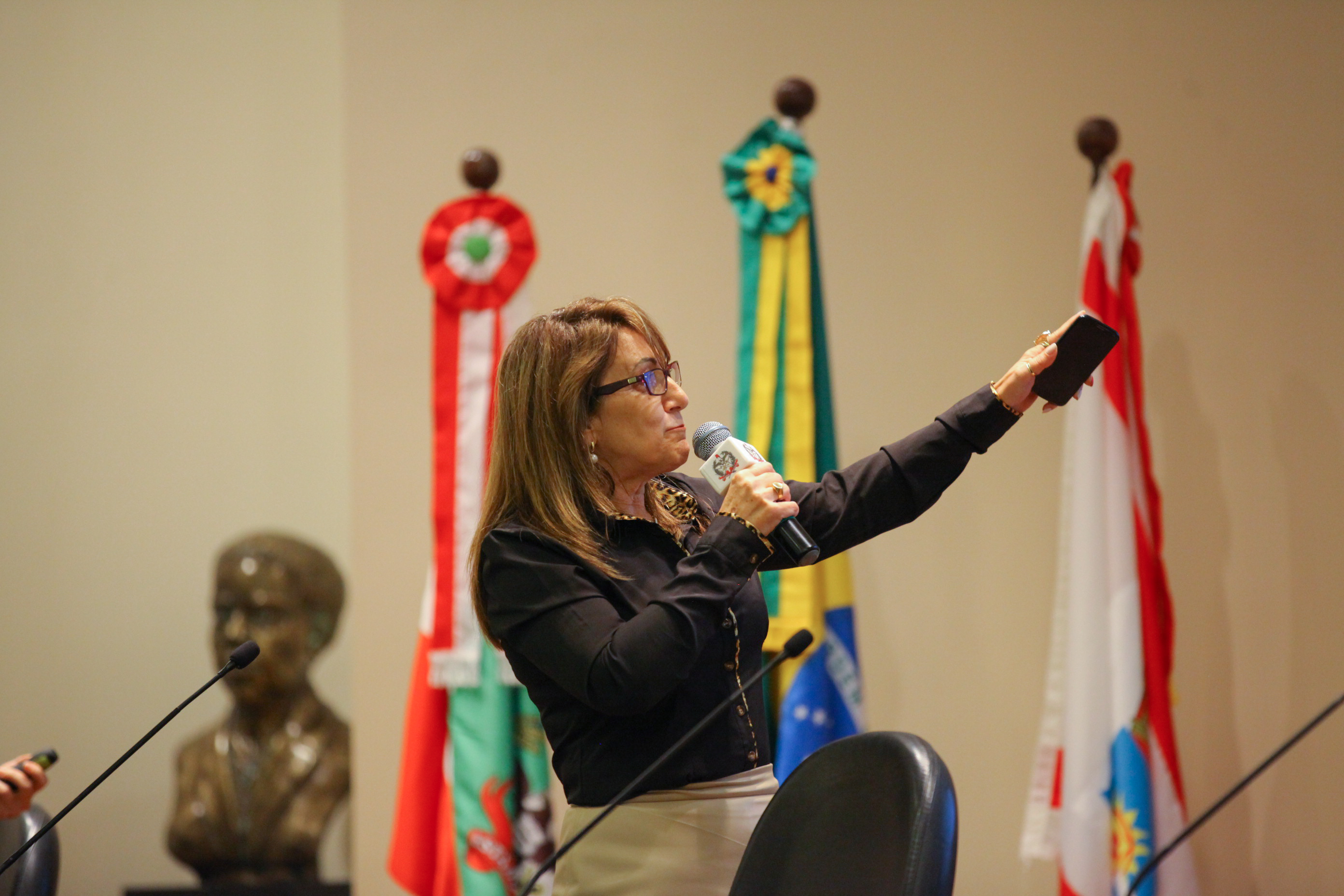 IV Seminário de Saúde e Prevenção das Deficiências das APAEs de Santa Catarina