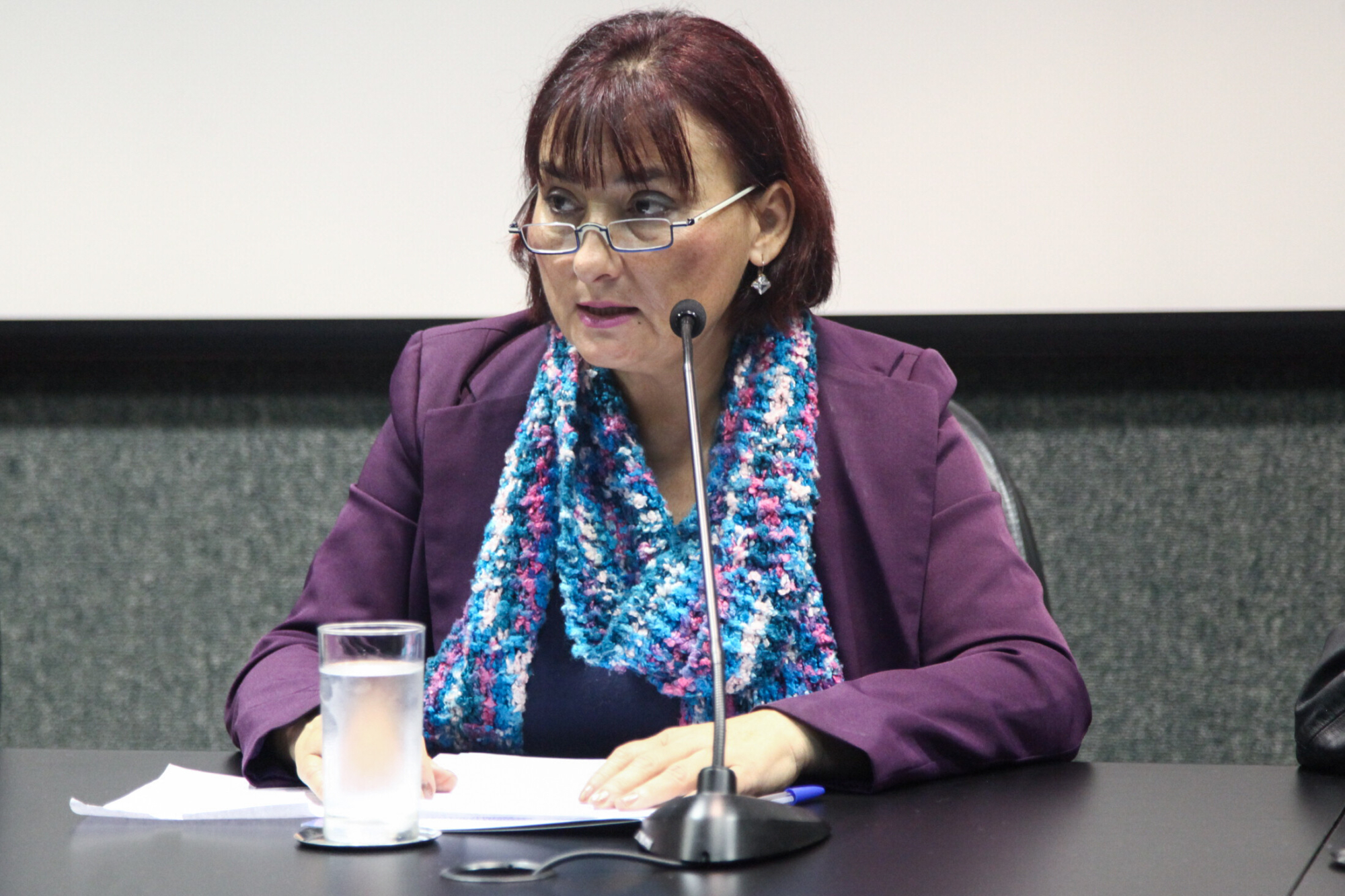 Jaira Terezinha da Silva Rodrigues, presidente do CRP- 12