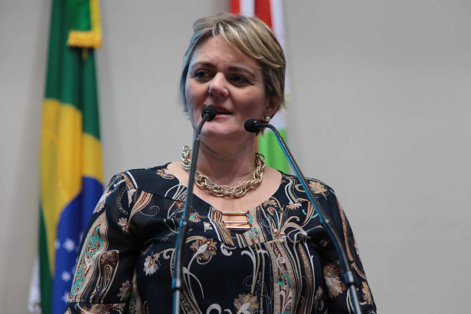 Segundo professor na sala de aula: Luciane comemora derrubada do veto