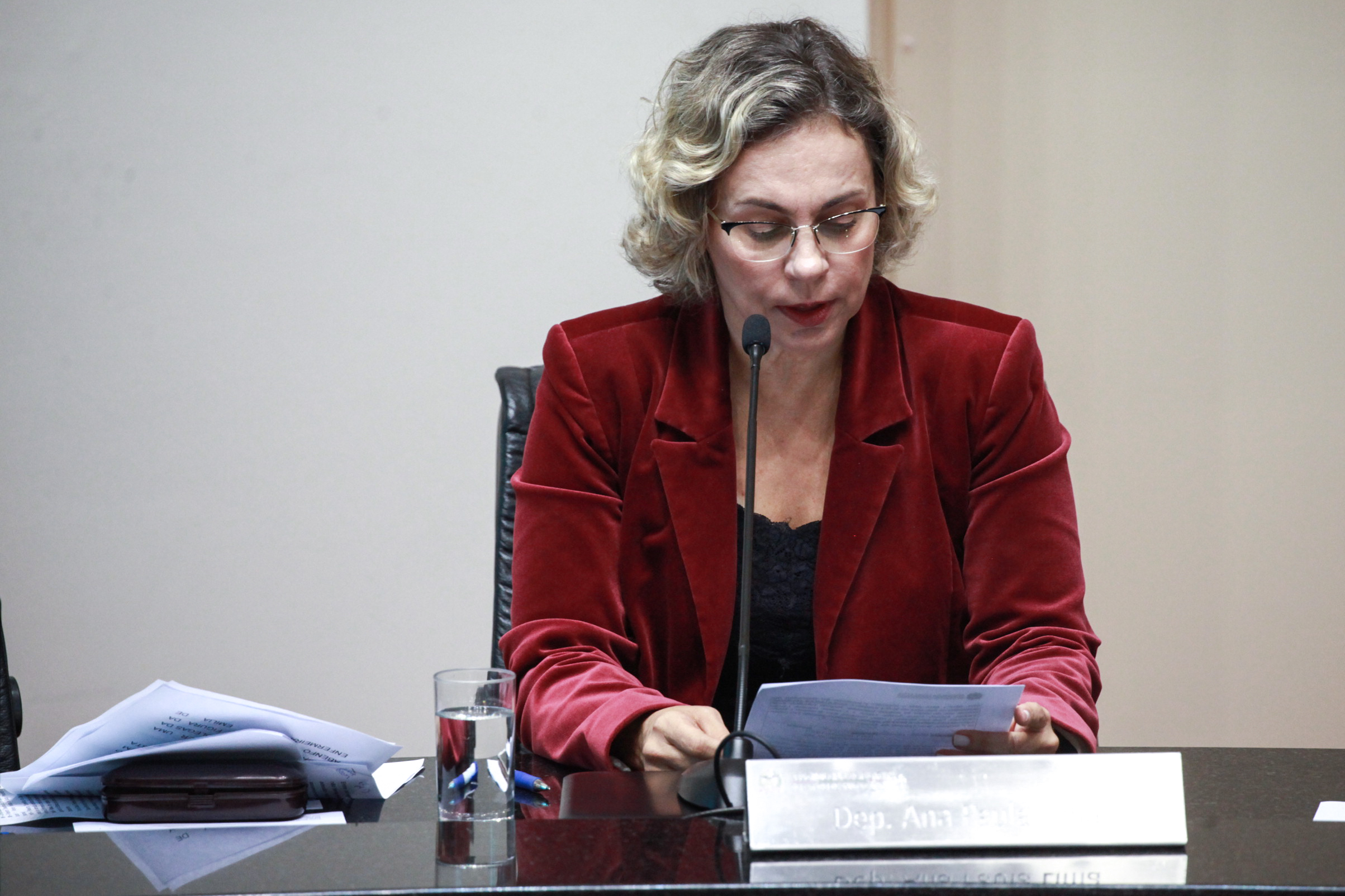 Deputada Ana Paula Lima (PT). Sessão Ordinária.