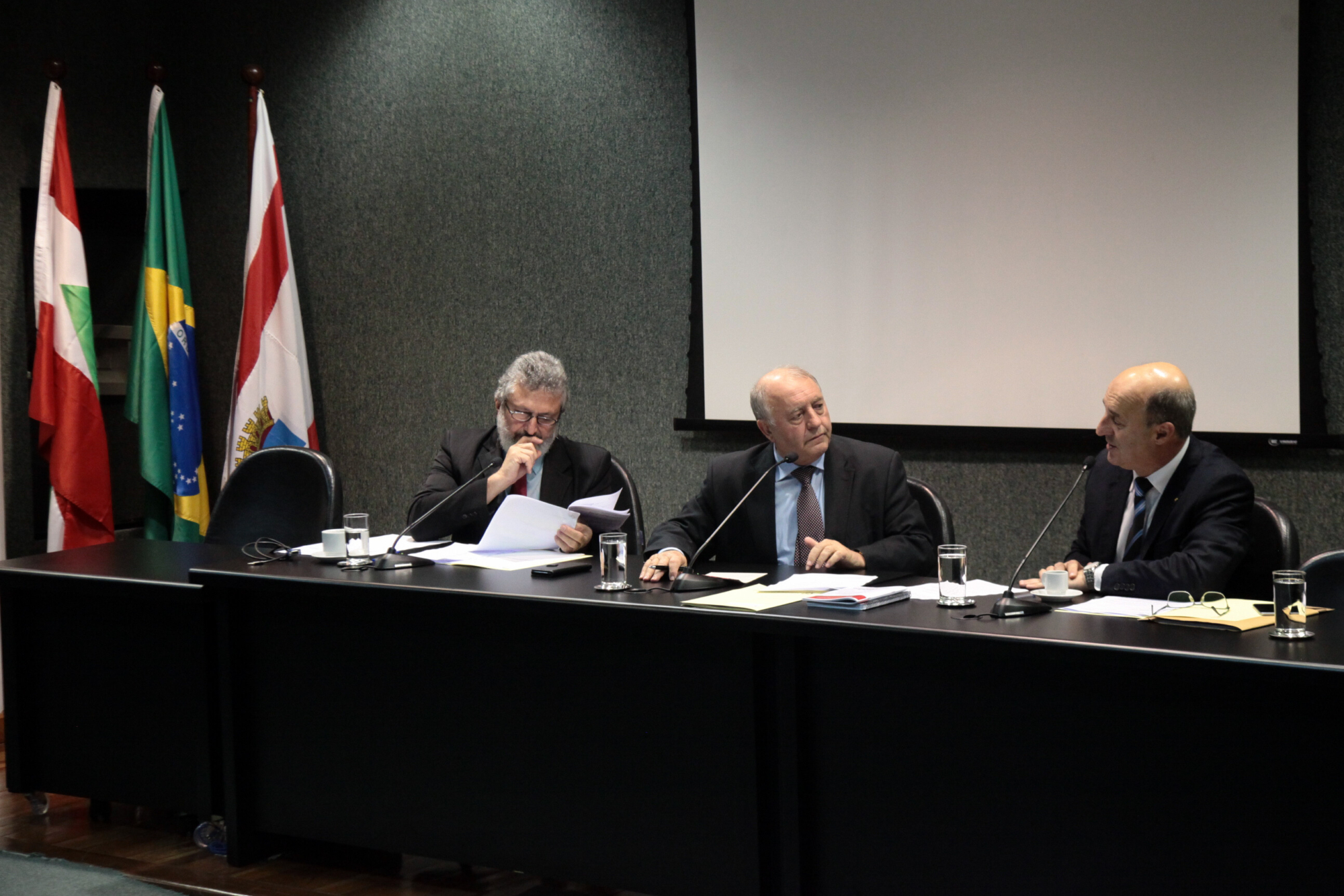 Comissão discute alíquota de ICMS sobre suínos vivos e eletrificação rural