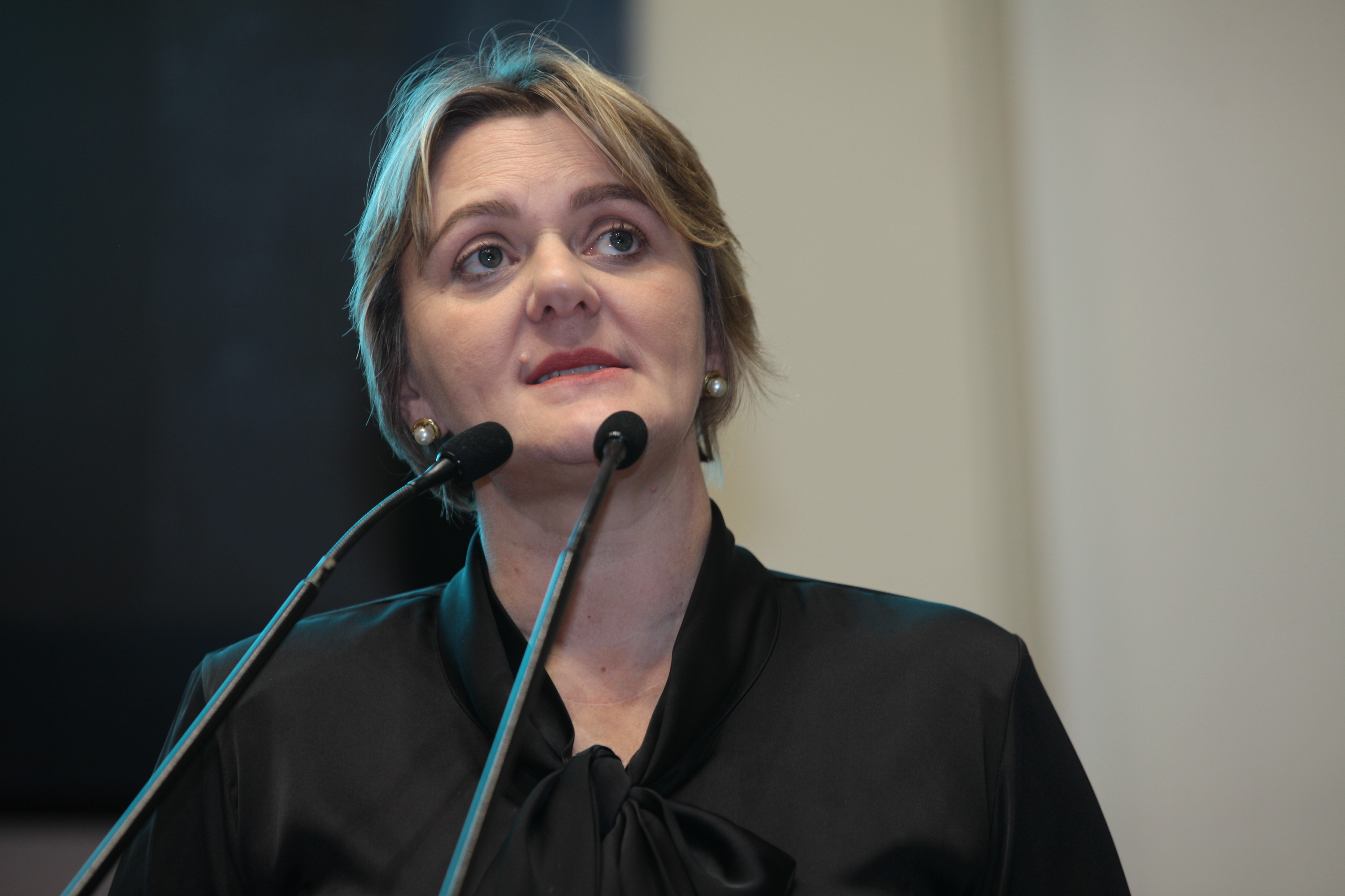 Sessão Ordinária - Deputada Luciane Carminatti (PT)