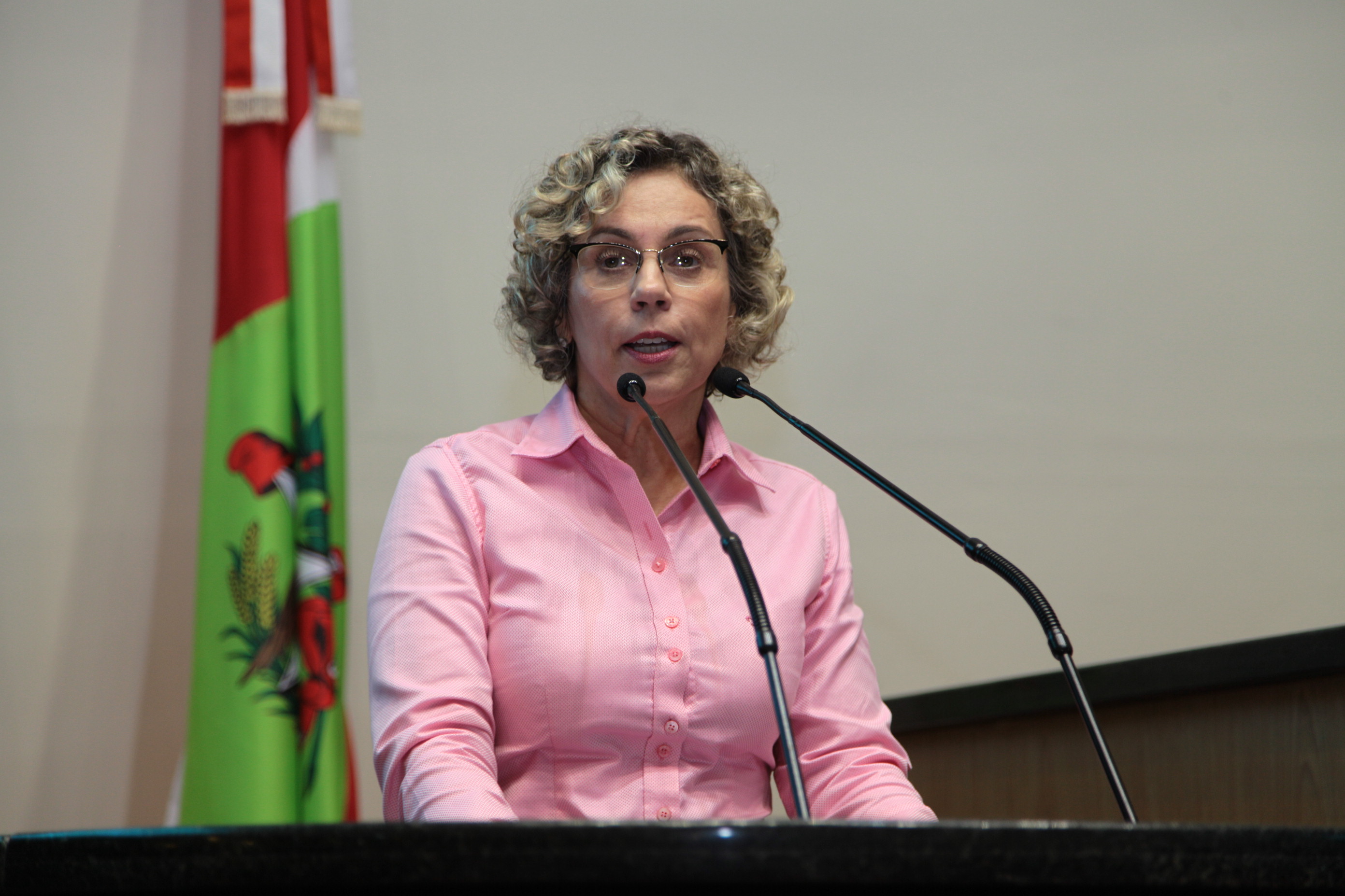 Sessão Ordinária - Deputada Ana Paula Lima (PT)