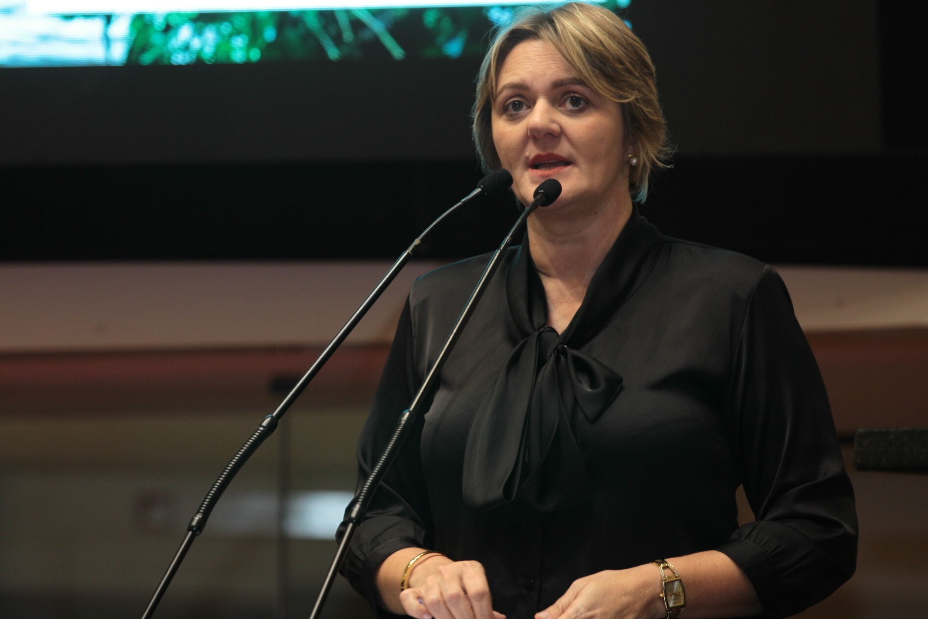 Luciane propõe comissão para ajudar municípios atingidos pela enchente