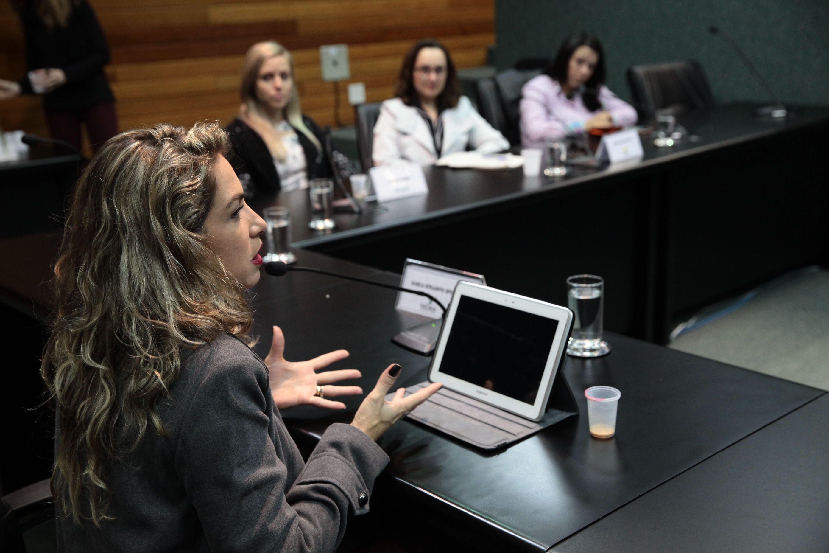 Reunião da Comissão de Responsabilidade Social.