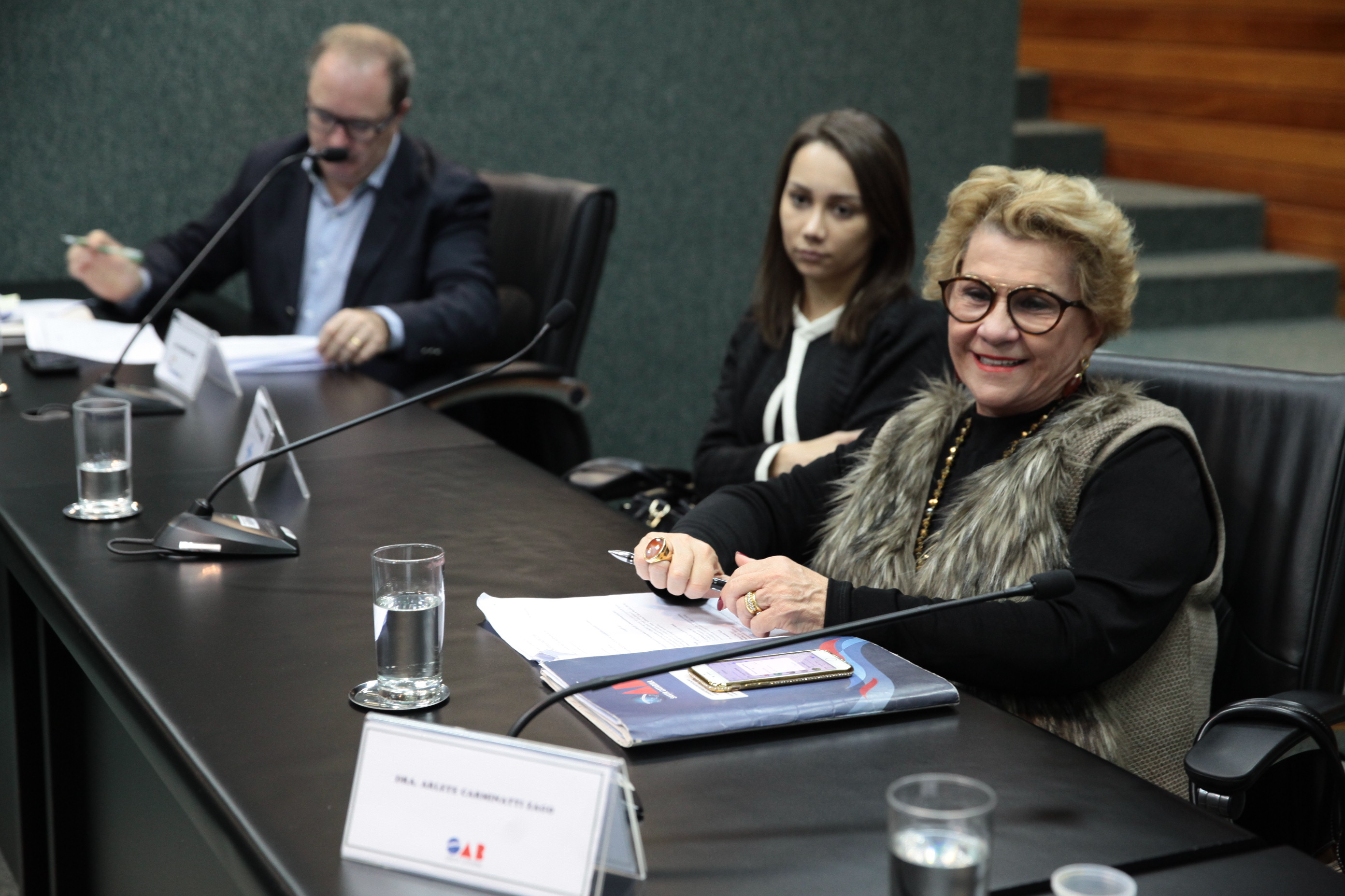 Reunião da Comissão de Responsabilidade Social.