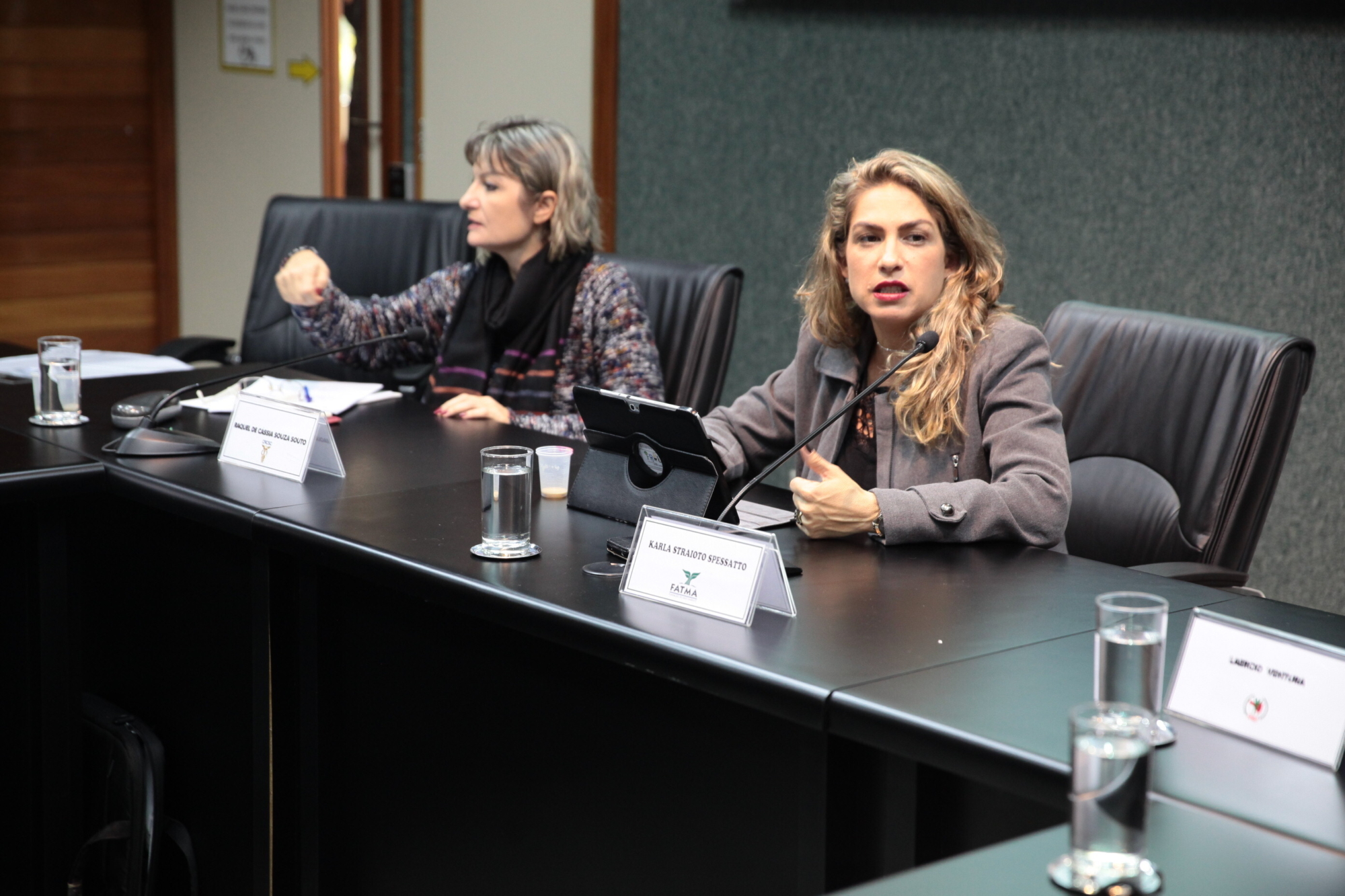 Presidente da comissão, Karla Straioto Spessatto (à direita)