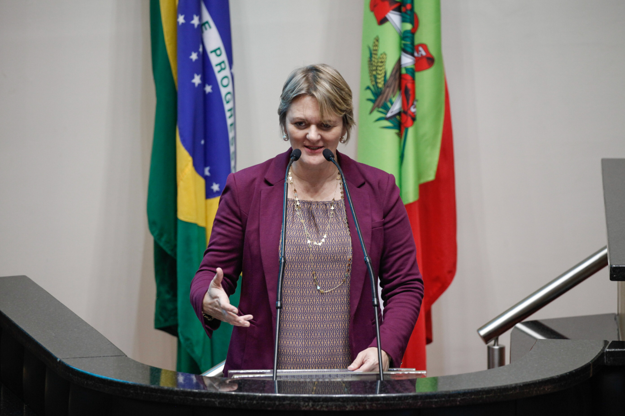 Luciane defende ação de manutenção permanente em rodovias catarinenses