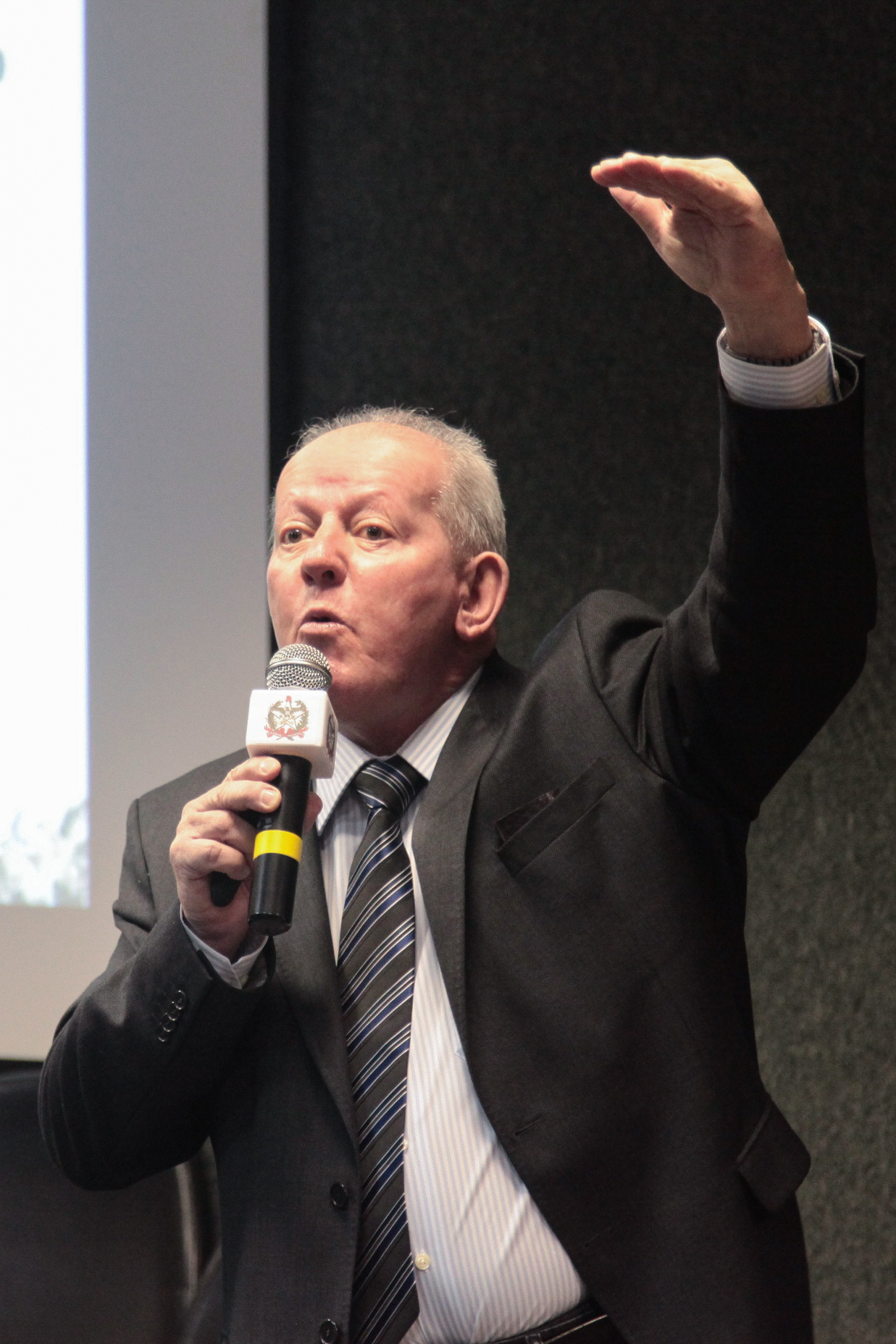Audiência Pública Sobre o Orçamento Regionalizado Impositivo.