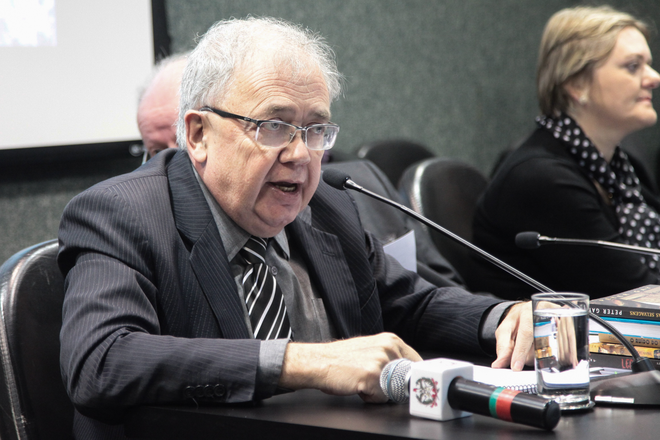 Audiência Pública Sobre o Orçamento Regionalizado Impositivo.