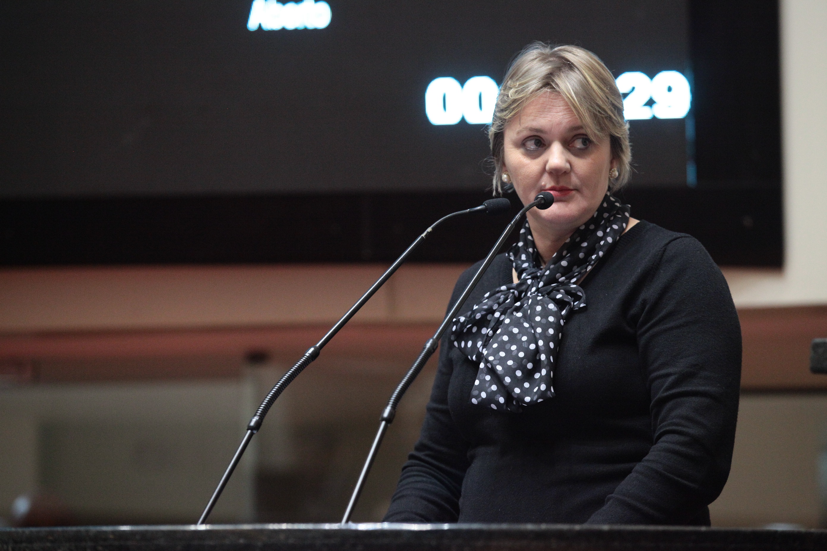 Sessão Ordinária. Foto  - Deputada Luciane Carminatti (PT) - Solon Soares