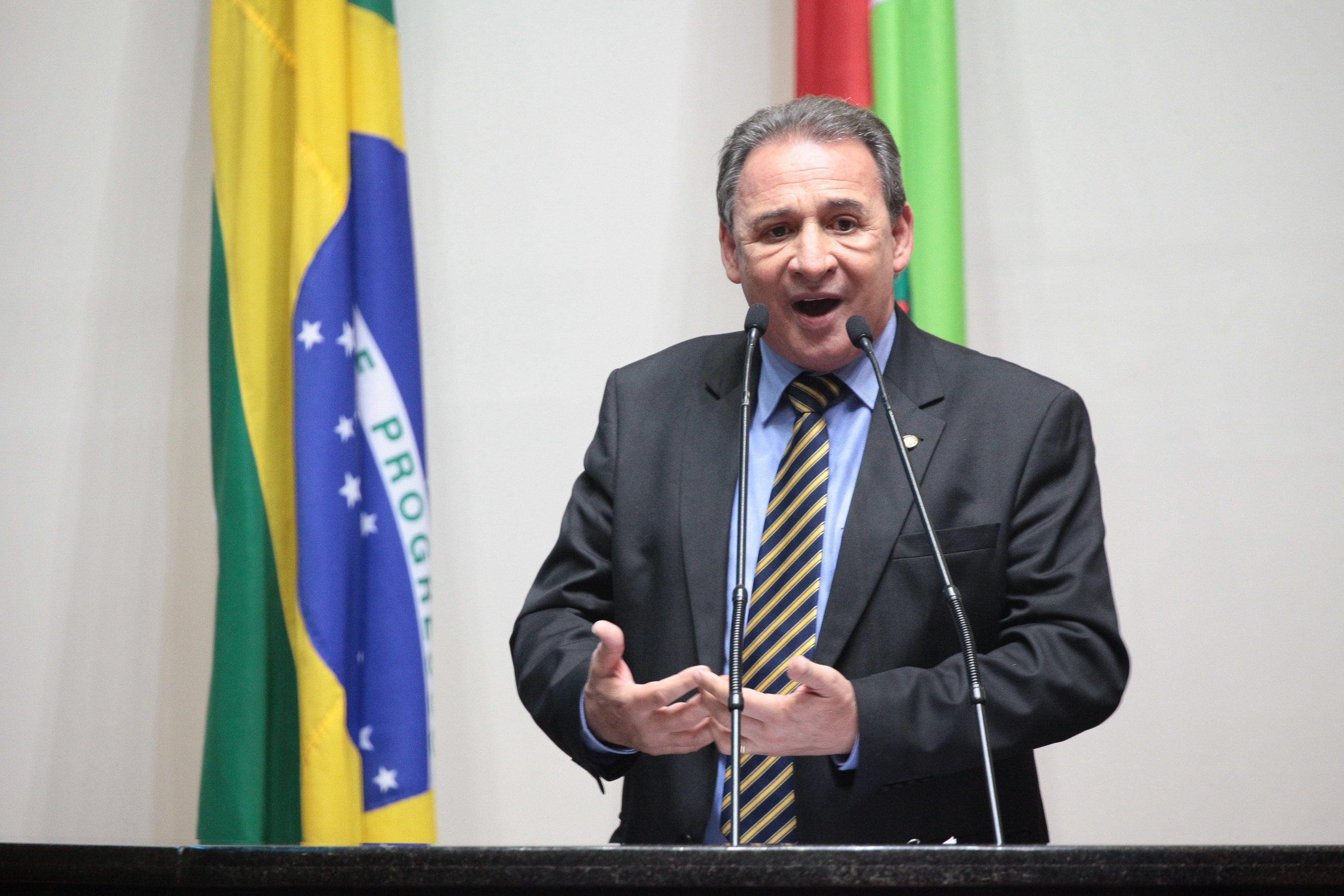 Sessão Ordinária. Deputado Dóia Guglielmi (PSDB)