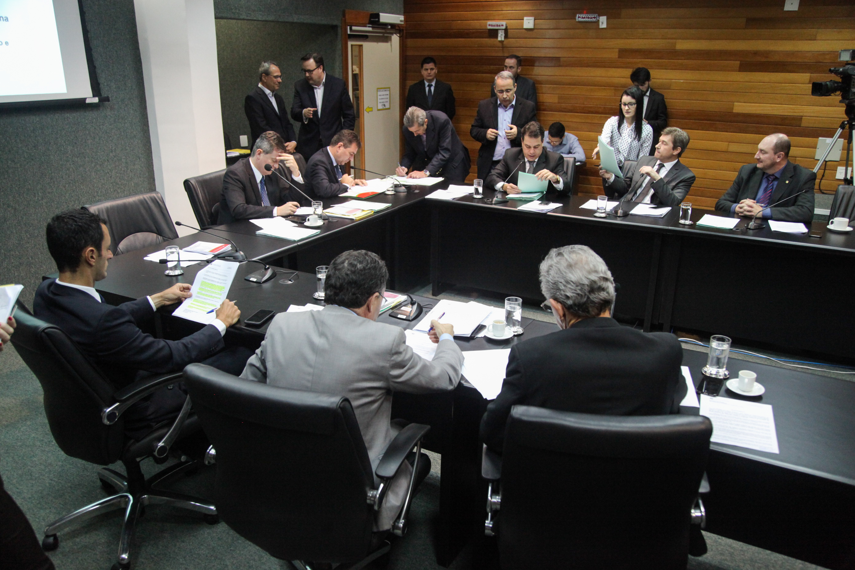 Comissão de Constituição e Justiça.