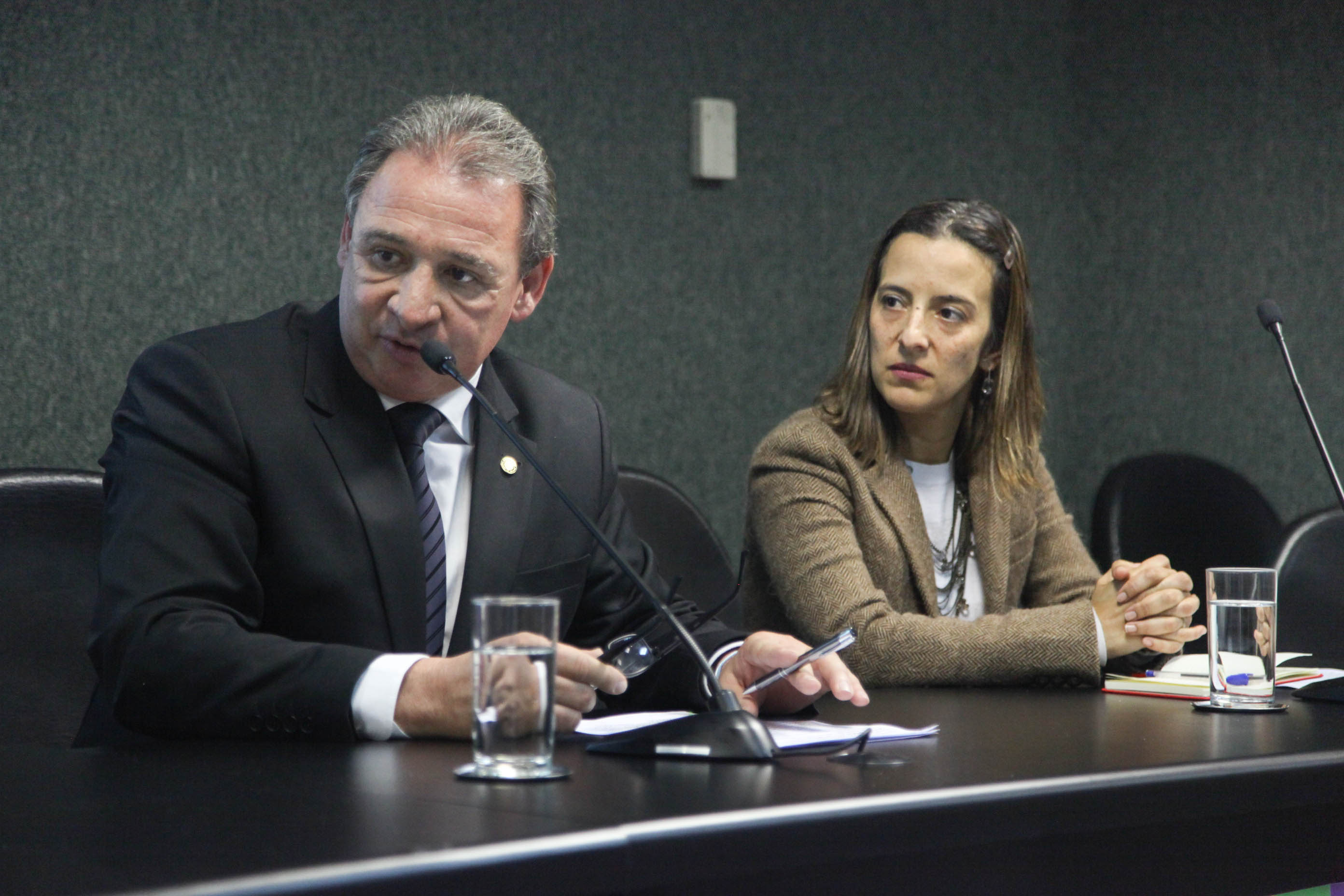 Audiência Pública da Comissão de Defesa dos Direitos da Criança e do Adolescente.