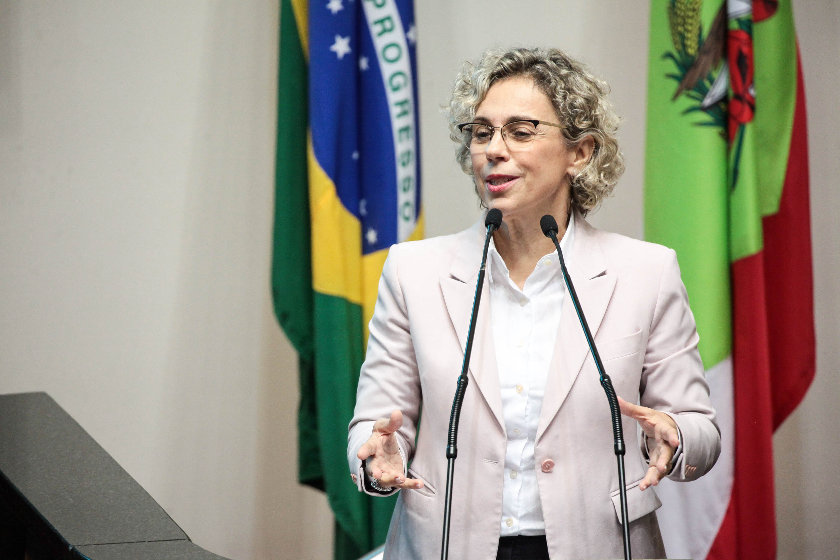 Deputada Ana Paula Lima (PT). Sessão Ordinária.