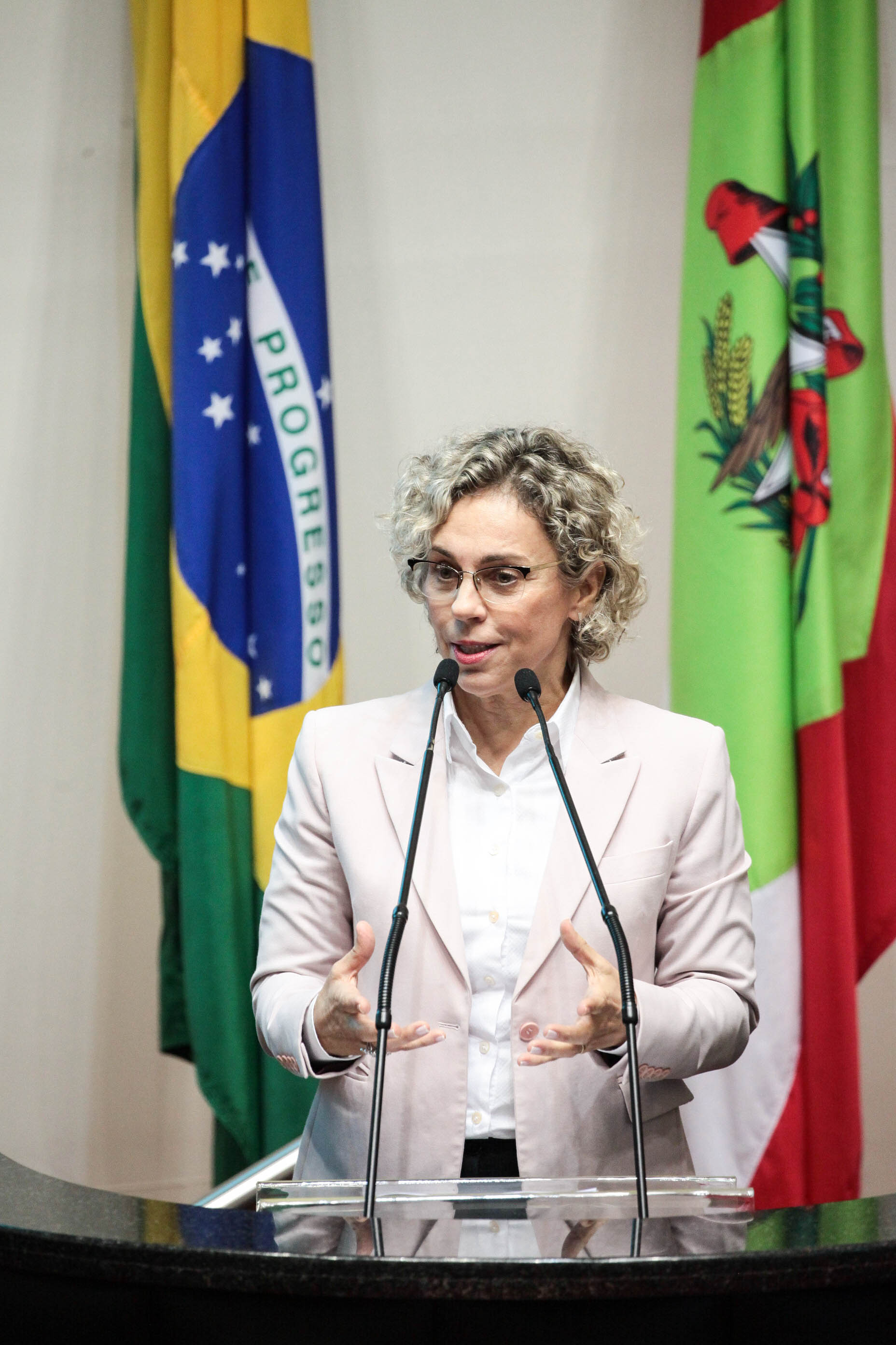 Deputada Ana Paula Lima (PT). Sessão Ordinária.