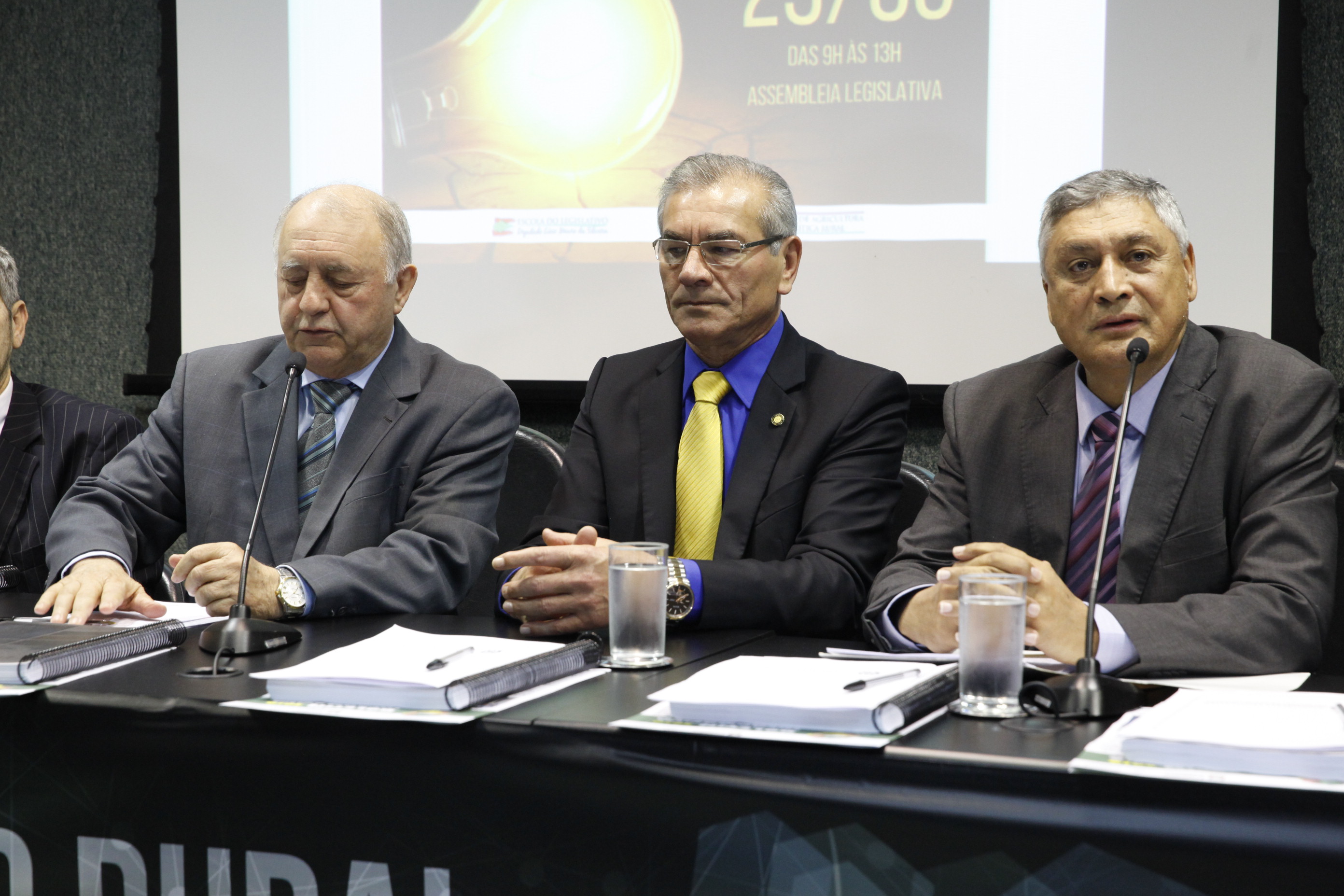 Seminário Sobre  Eletrificação Rural