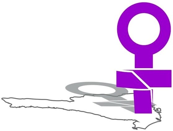 Deputados repercutem conferência sobre saúde das mulheres