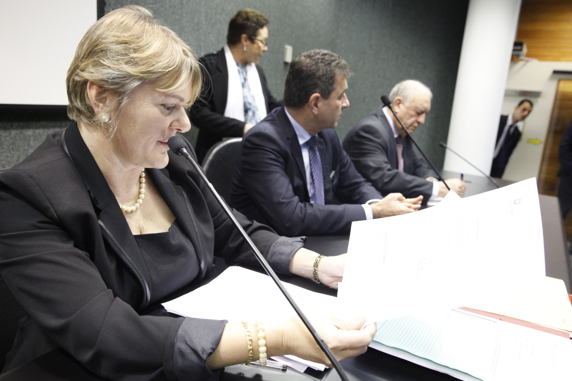 Deputada Luciane Carminatti, presidente da Comissão de Educação