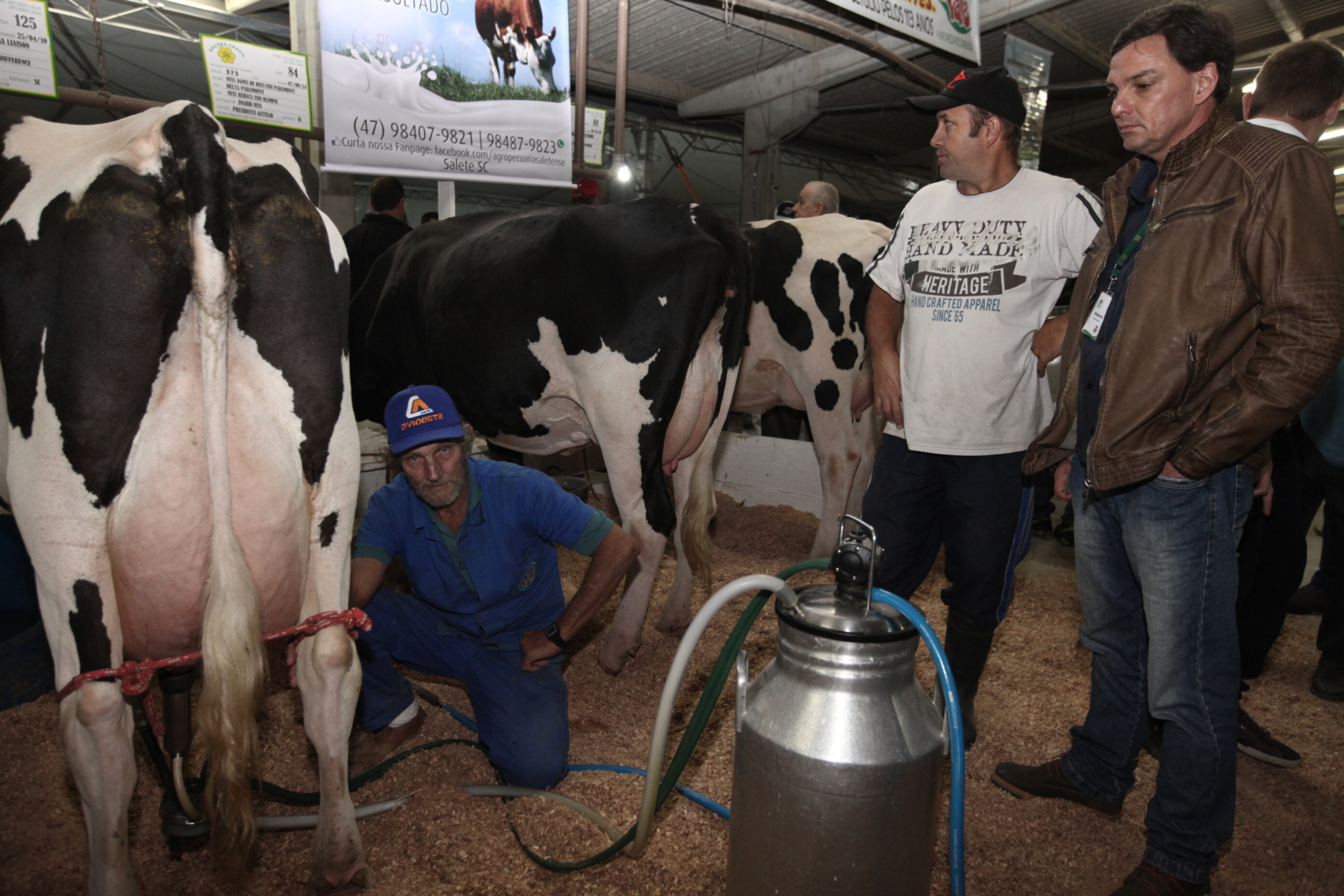 Expofeira de Presidente Getúlio destaca potencial de SC na pecuária leiteira