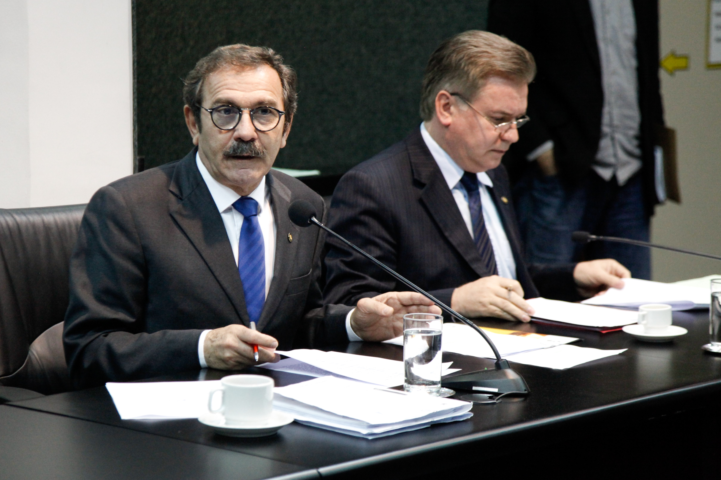 Deputado Serafim Venzon (PSDB). Comissão de Trabalho, Administração e Serviços Públicos.