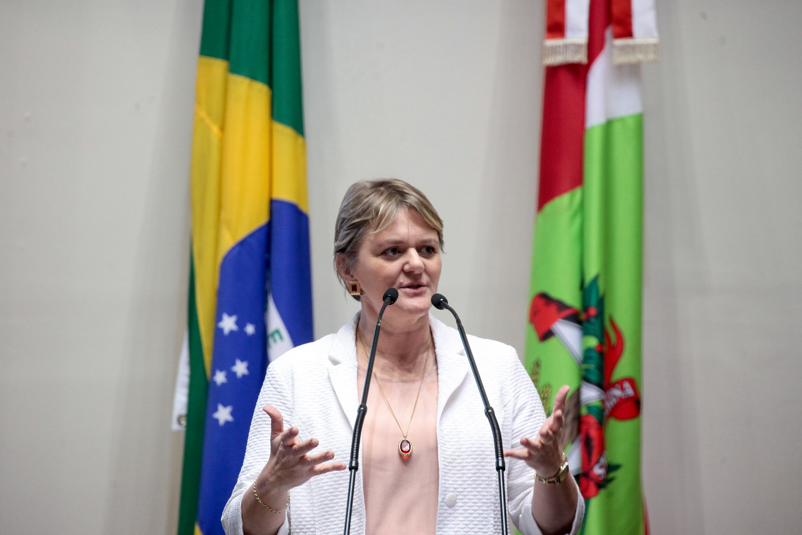 Deputada Luciane Carminatti (PT). Sessão Ordinária. Foto: Karina Ferreira / Agência AL