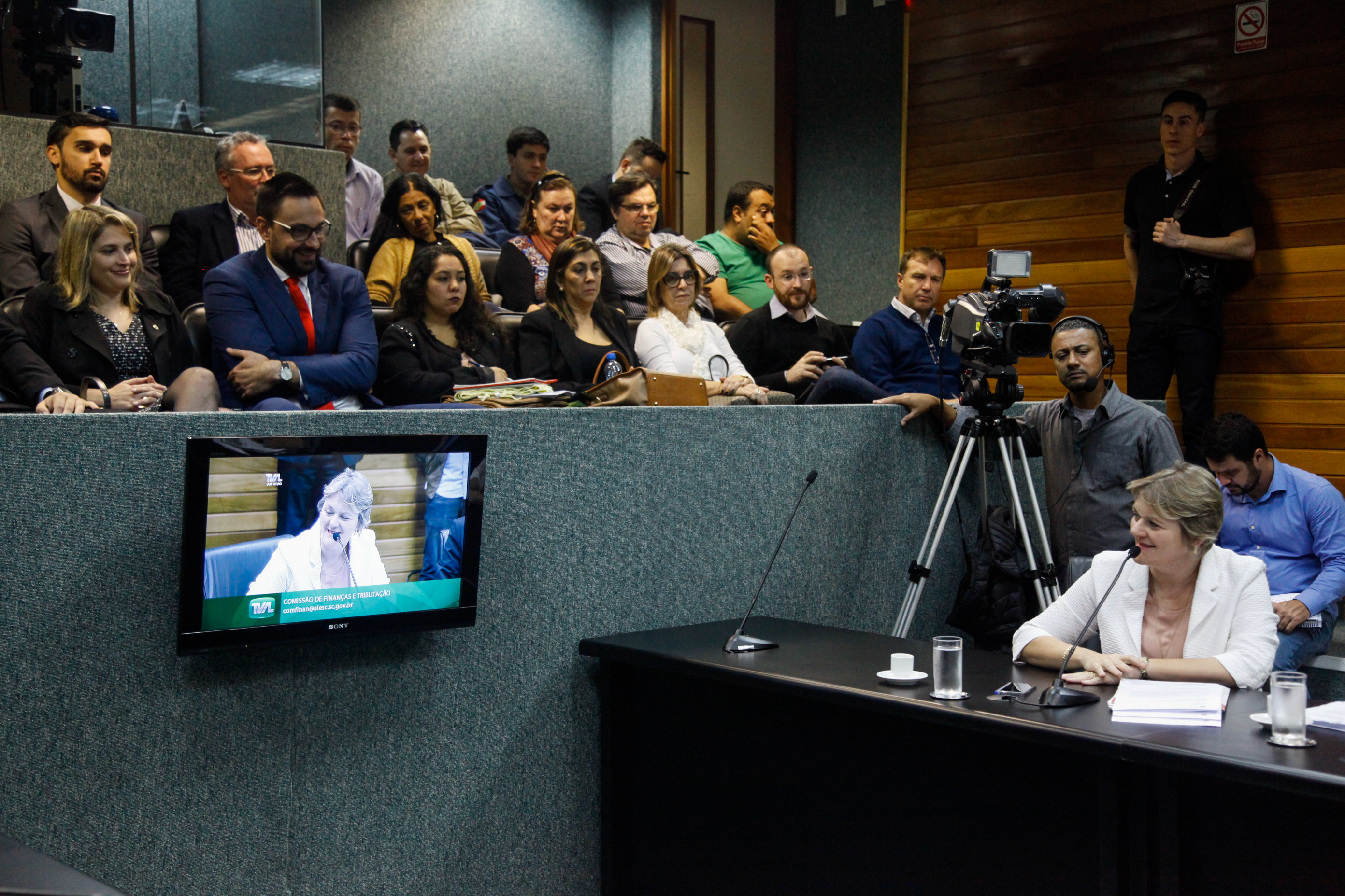 Deputada Luciane Carminatti (PT). Comissão de Finanças e Tributação.